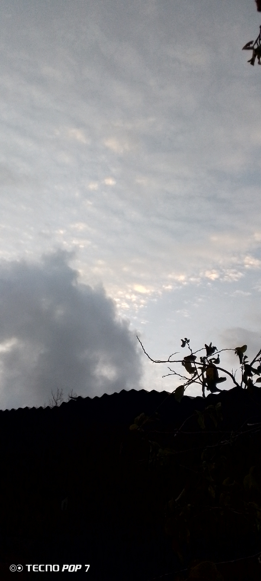 The image shows a view of the sky, partially obscured by dark silhouetted objects in the foreground. The sky features a mix of altocumulus clouds with some darker, possibly cumulonimbus clouds on the left side. The sky's color transitions from lighter shades near the horizon to darker ones higher up.
In the foreground, a dark, corrugated structure likely a roof, is visible at the bottom. Above the roof, there are silhouettes of branches and leaves, suggesting a nearby tree or vegetation. The overall lighting suggests either dawn or dusk.
While the location is mentioned as Altagracia, Venezuela, the image does not inherently provide any information to corroborate that location other than its visual representation. Without additional context or visual cues, it's difficult to confirm that this image originated from Altagracia.