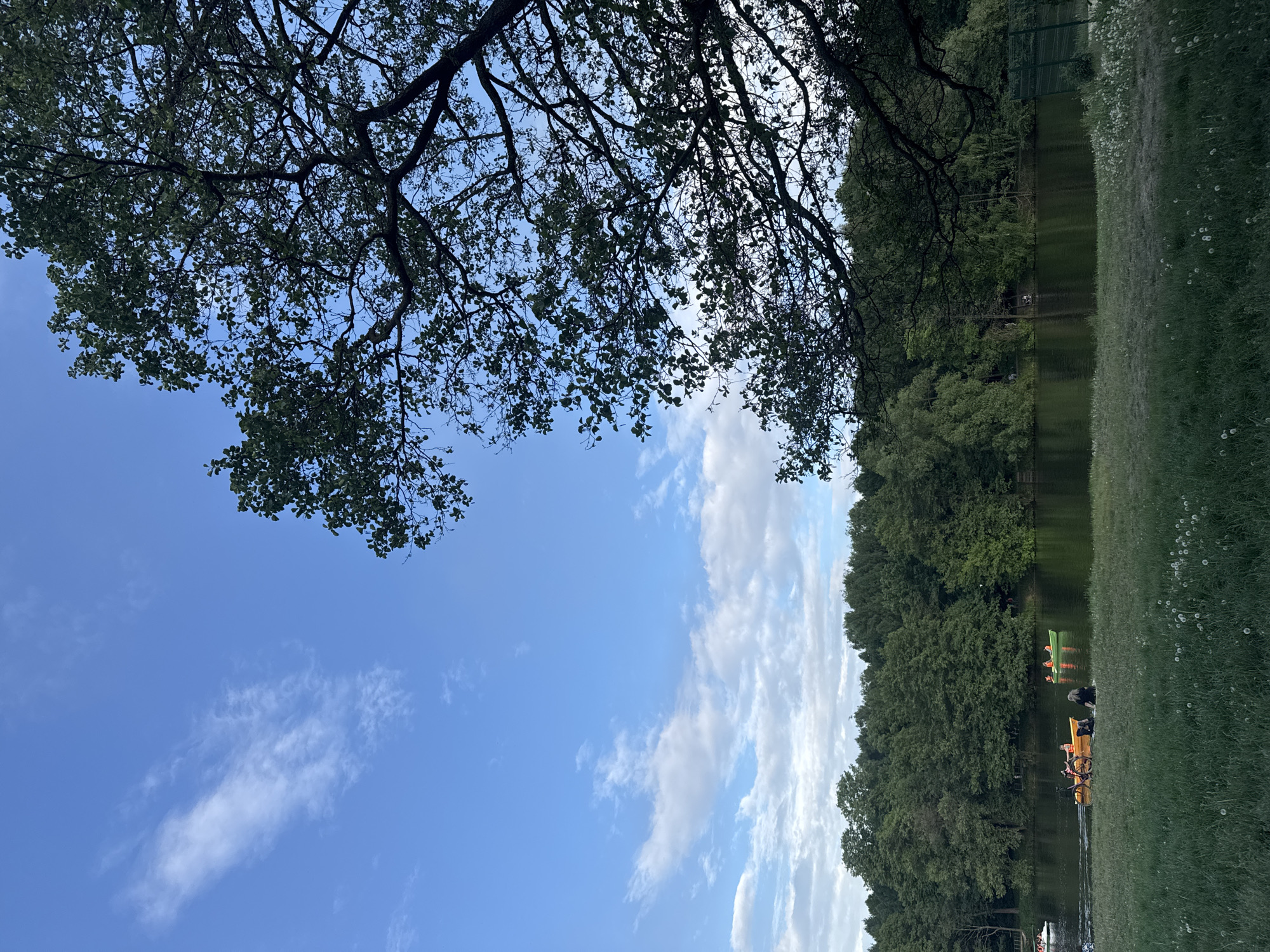 The image shows a view of a lake in a park in Moscow, Russia. The sky is mostly blue with scattered white clouds. Tree branches with leaves are visible in the upper left corner. The lake is surrounded by dense green trees and grass. There are several paddle boats and people on the water, some wearing orange life vests. The photo is taken from ground level, near the lake.