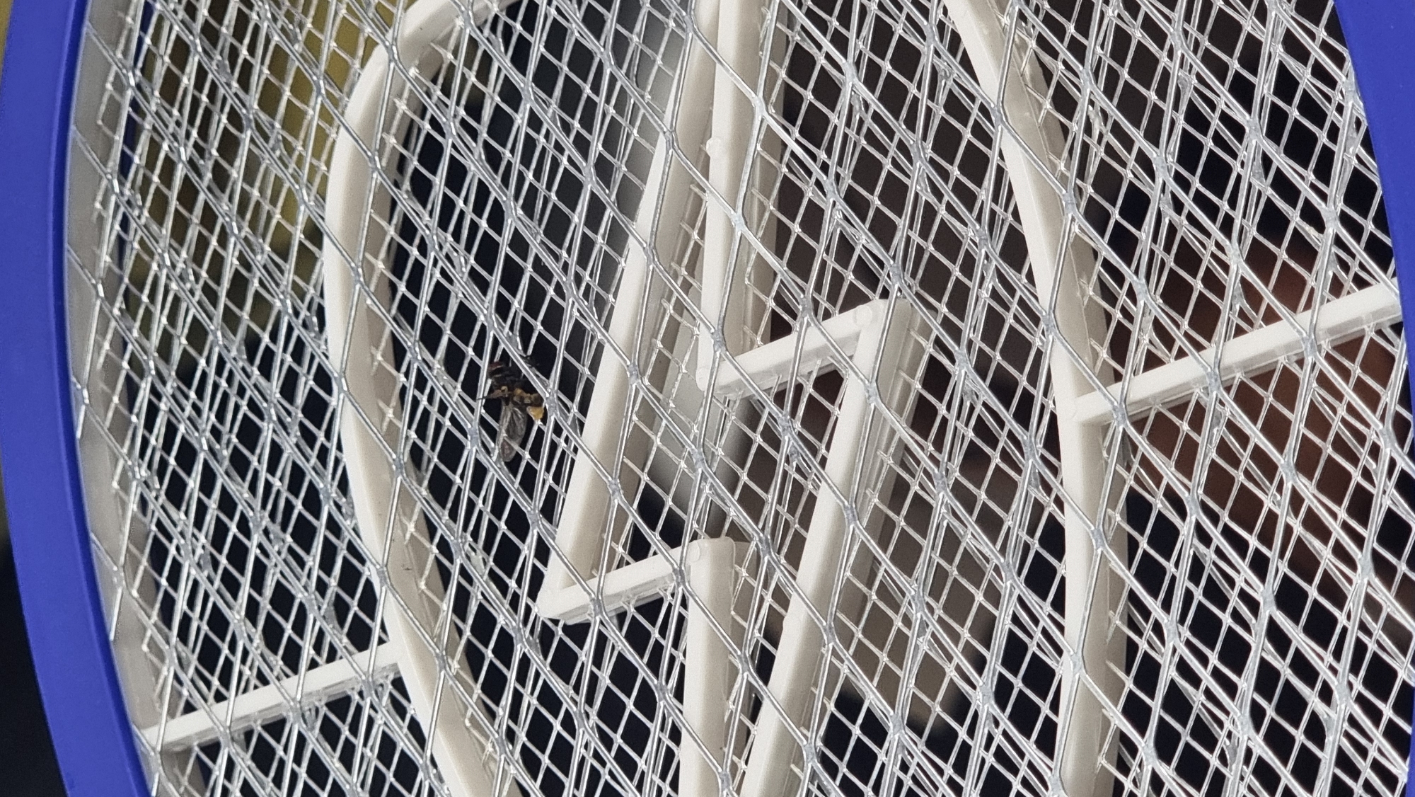 A dead insect, appearing to be a fly or bee, is resting on the metallic mesh of a blue and white electric swatter. The swatter has a diamond-shaped mesh pattern. The background is dark and out of focus, with some brown and lighter tones visible. The image is a close-up shot of the swatter and the insect. There is no information about the city of Megion, Russia, or any people in this image.