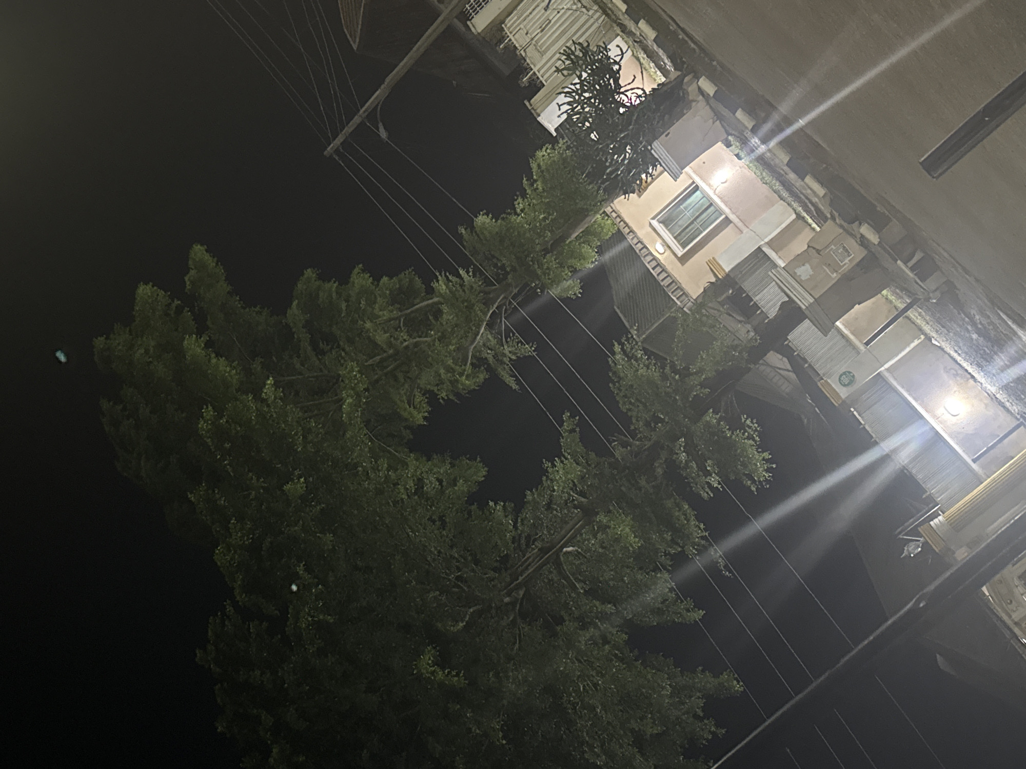 The image depicts a nighttime street scene in Abuja, Nigeria. Dominating the left side of the frame is a large, mature tree with dense green foliage. The tree branches extend upwards and to the right. In the background, to the right of the tree, are several buildings. One prominent building in the mid-ground has a light-colored facade with a window and a light pink trim. There are also power lines crisscrossing the sky, supported by utility poles. The ground appears to be paved, possibly a road or sidewalk, with some white markings. The lighting is dim, indicative of nighttime, with some artificial lights creating glare and lens flares in the image. There are no people visible in the scene. The overall impression is of a residential or mixed-use urban area at night, characterized by vegetation and architecture.