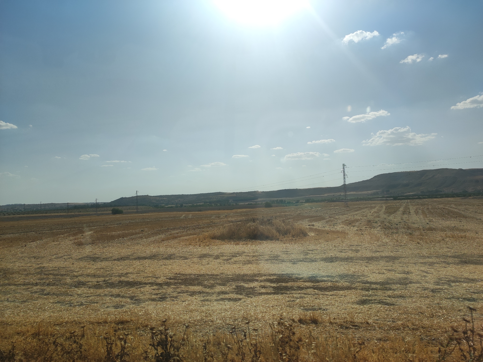 The image captures a vast, sun-drenched agricultural landscape under a bright, partly cloudy sky. The foreground is dominated by a field of dry, harvested crops, appearing as straw or stubble, with distinct rows and patterns indicating recent cultivation. In the middle ground, the field continues, with a small mound of gathered straw. Further in the distance, rolling hills form the horizon, sparsely dotted with trees. A prominent power line pylon stands tall on the right side of the middle ground, with more power lines stretching across the scene. The sun is high in the sky, casting strong light and shadows, suggesting it is midday. The overall impression is one of a rural, dry environment, likely during harvest season. This scene is consistent with the agricultural terrain found in and around Mazuecos, Spain, a region known for its dry climate and farming activities. There are no people or animals visible in the image.