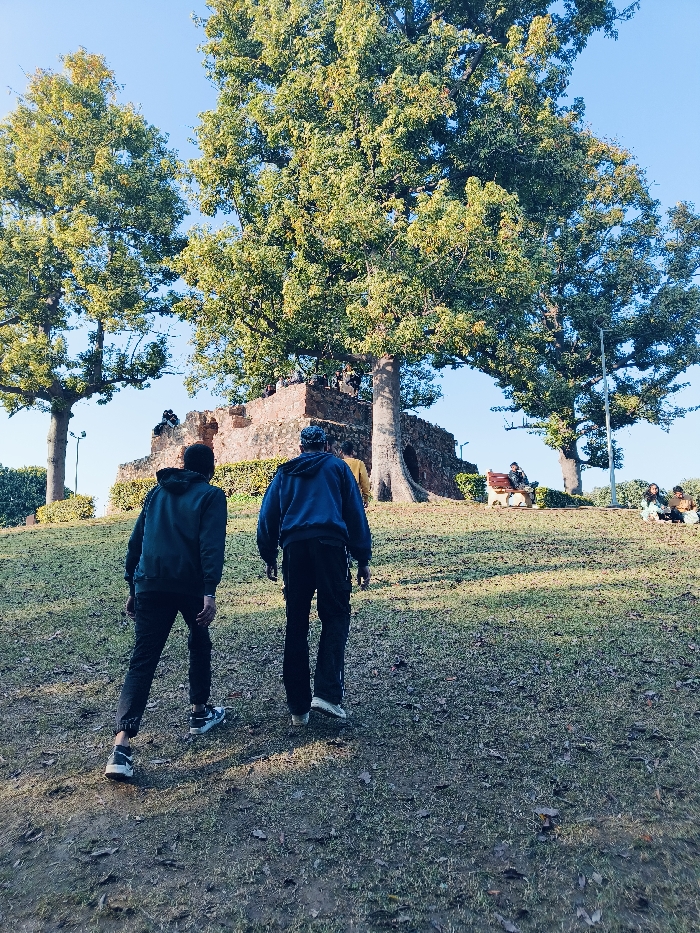 Memory