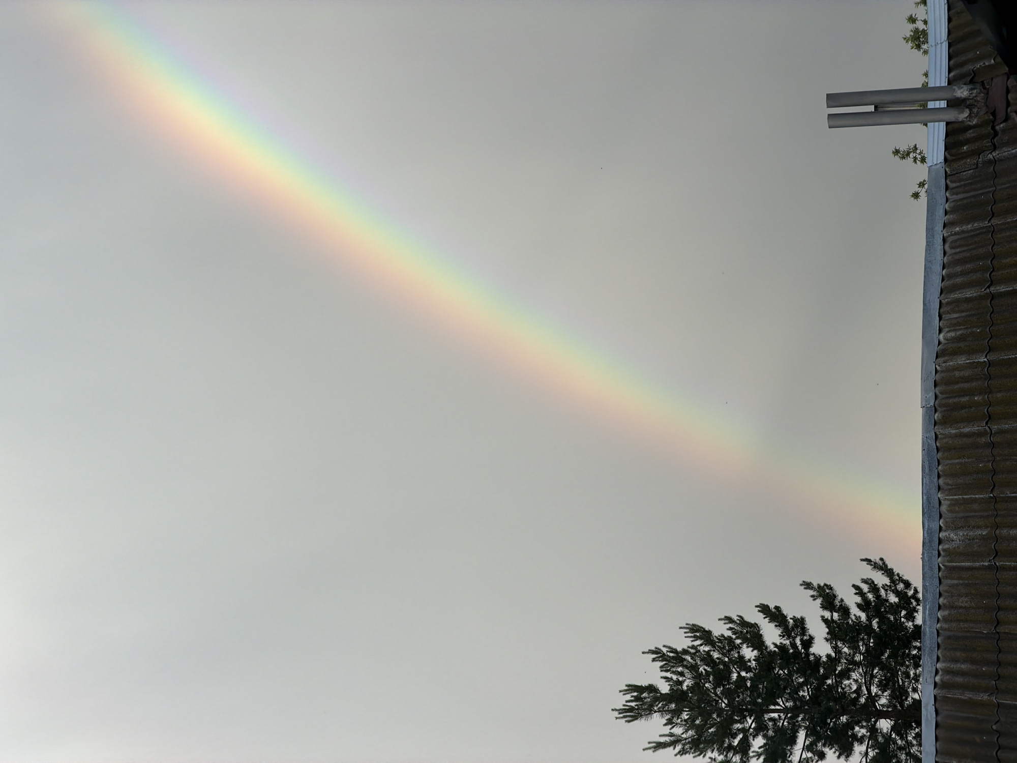 A faint rainbow arches across a cloudy, overcast sky above a section of corrugated metal roofing. To the left, the dark silhouette of a pine tree stands starkly against the sky. On the right, two silver metal chimney pipes rise from the roof. The scene appears to be a residential rooftop in the city of Sukhodol, Russia.