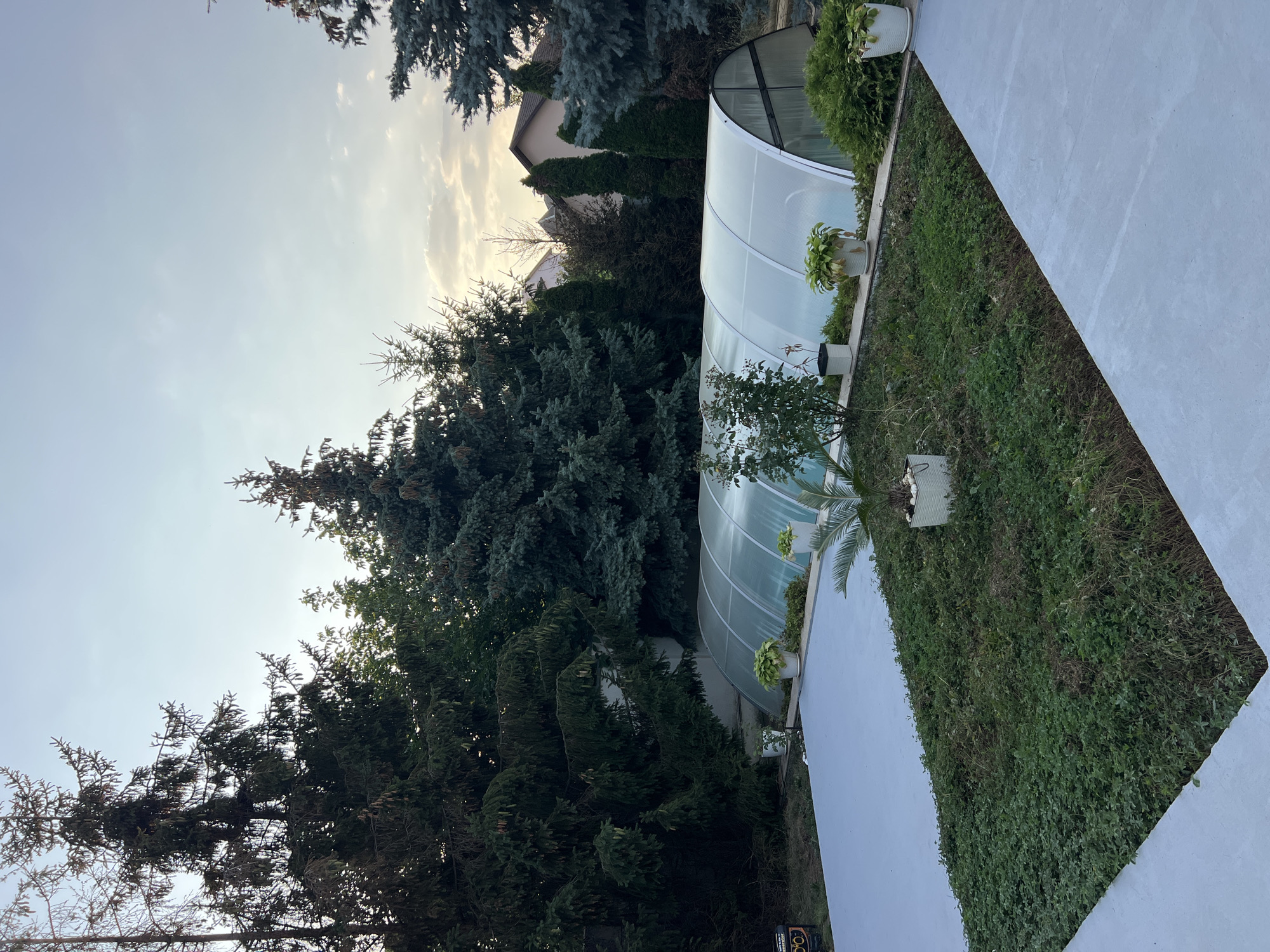 The image depicts a backyard scene in Fontanka, Ukraine, featuring a covered swimming pool and surrounding greenery. The pool is enclosed by a transparent, curved structure with a metallic frame, likely for insulation and protection. Adjacent to the pool is a grey paved area, possibly a patio or deck, and a section of dense green ground cover. Tall evergreen trees, including pine and fir varieties, form a natural backdrop, with some houses visible in the distance behind the trees. The sky is partly cloudy, suggesting it is either early morning or late afternoon. There are no people or animals visible in the image. The overall impression is one of a well-maintained private residence.