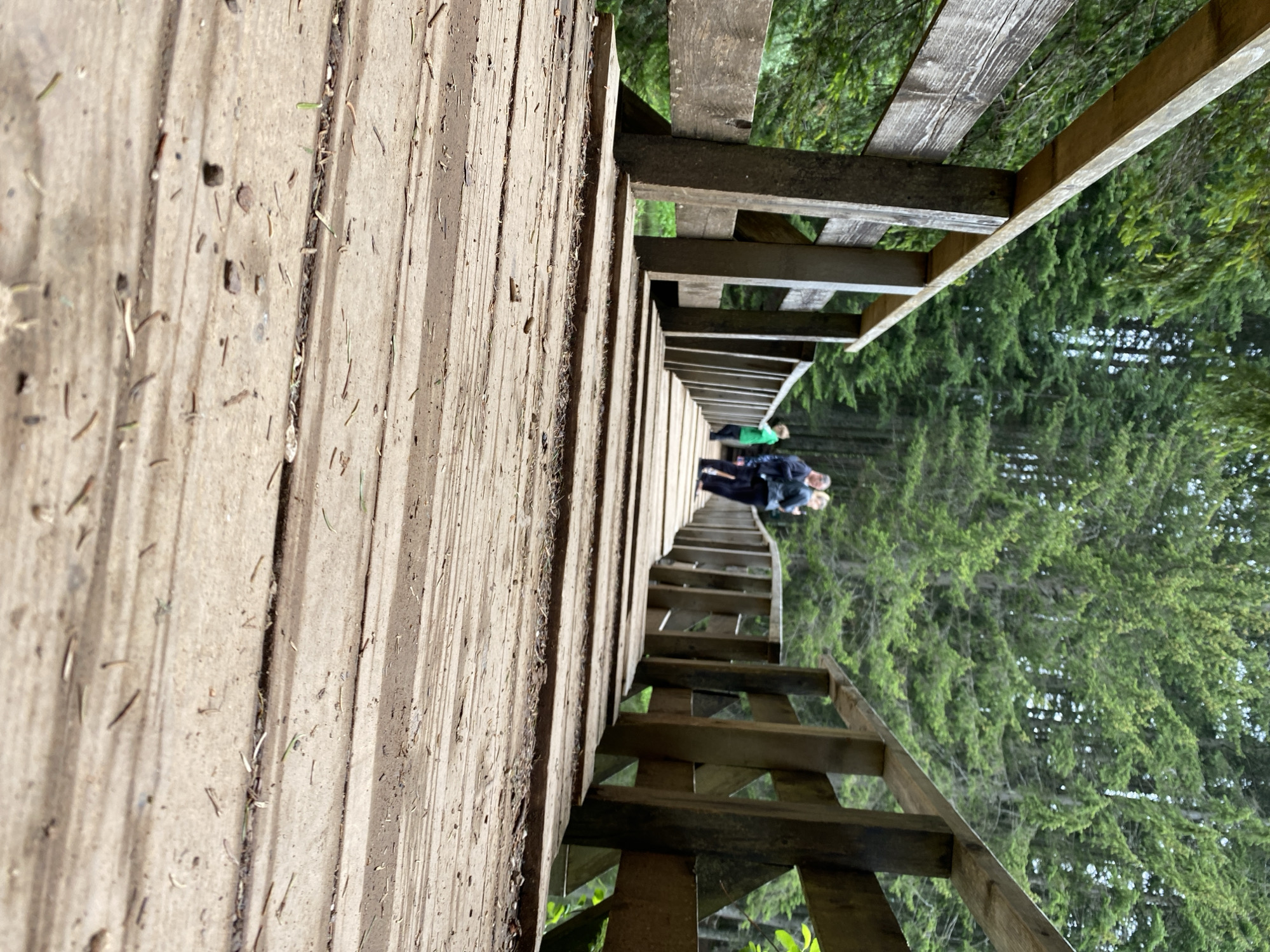 The image displays an elevated wooden boardwalk or pathway extending into a dense forest. The perspective is from one end of the walkway, looking along its length as it curves gently. The sturdy wooden planks forming the path and the railing are prominent, showing natural wood textures and scattered debris like pine needles and small organic matter.
In the distance, several individuals are visible on the boardwalk. One person in a vibrant green jacket is more distinct, while others further along are partially obscured or in darker attire, suggesting they are traversing the path. The activity appears to be leisure walking, hiking, or sightseeing.
The setting is a natural outdoor environment, dominated by numerous tall evergreen trees with rich green foliage that line both sides of the pathway, creating a lush, verdant backdrop. The lighting indicates it is daytime, with diffused light suggesting either an overcast sky or the shade cast by the surrounding trees, creating a calm atmosphere. The scene evokes a sense of tranquil exploration within a forest or natural park. There is no visible text in the image. The location context indicates this is in Pitomine, Montenegro.