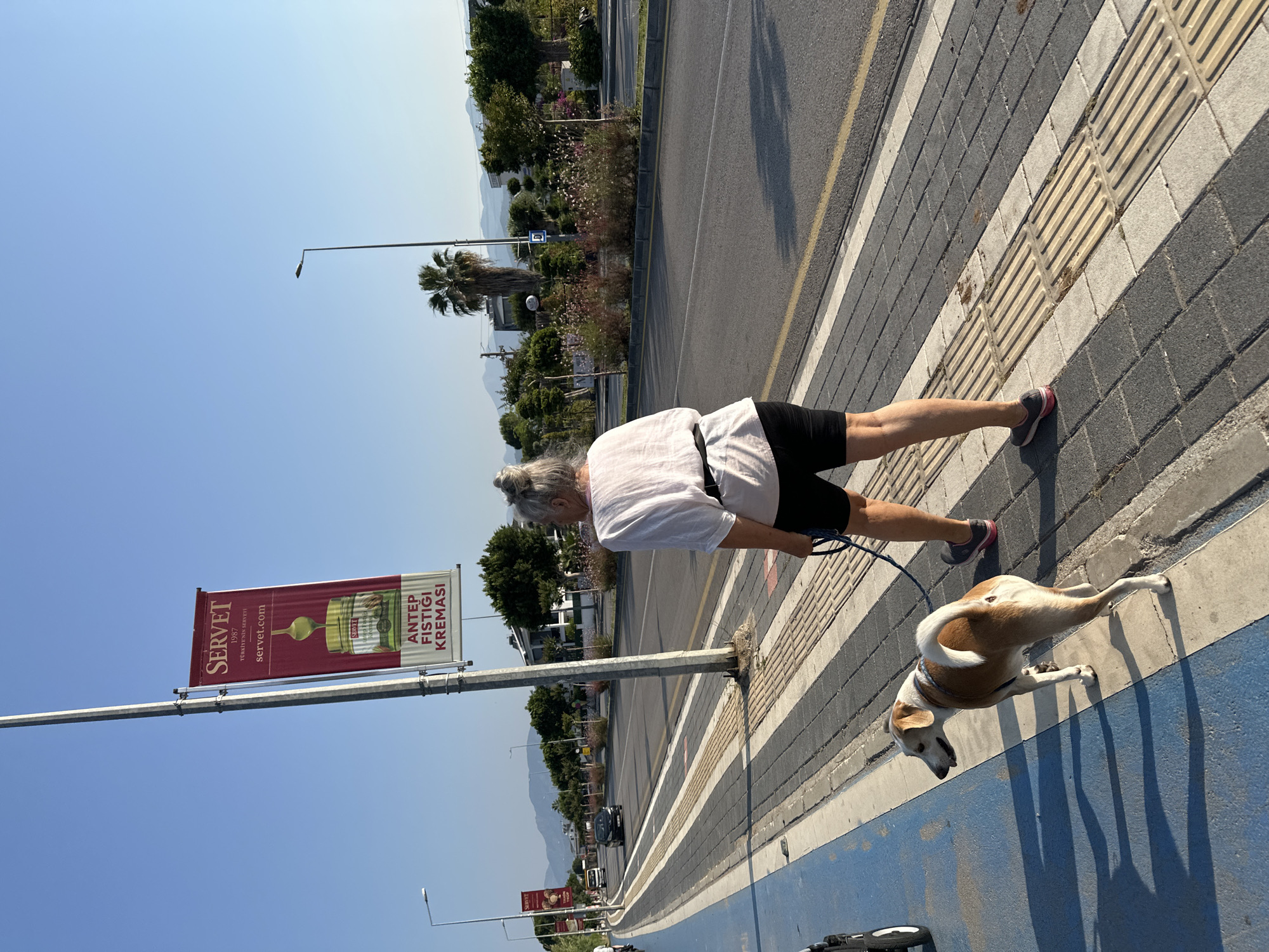 A woman with her hair in a bun walks a dog on a leash along a sidewalk in Fethiye, Turkey. She wears a white t-shirt and black shorts. The dog is light brown and white with its tail curled over its back. The sidewalk is paved with gray and white textured tiles, and a blue bike lane is to the left. A busy road runs parallel to the sidewalk, with cars and palm trees visible. A banner hangs from a lamppost, advertising "SERVET" and "ANTEP FISTIĞI KREMASI." The sky is clear and blue.