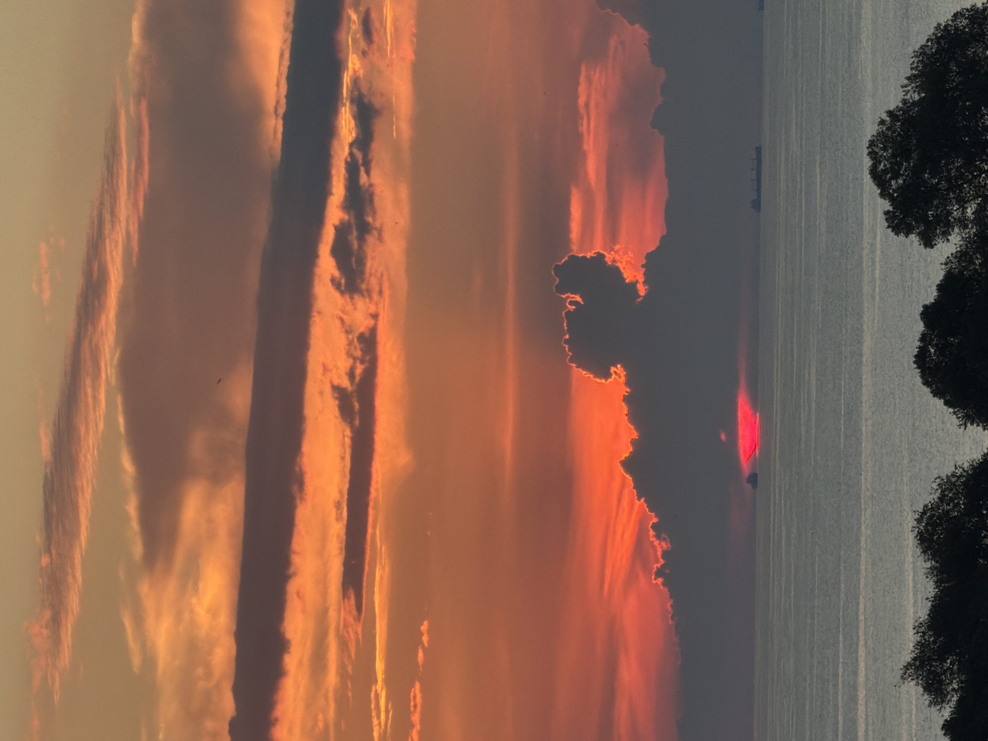 A dramatic sunset over the Black Sea casts fiery hues of orange and red across the sky, illuminating scattered clouds. The sun, a brilliant red disc, is partially obscured by a dark, silhouetted cloud formation near the horizon. Several cargo ships are visible in the distance, appearing as small dark shapes against the vast expanse of the water. The foreground is dominated by the dark silhouettes of trees, suggesting a coastal view from a higher vantage point, possibly from a hillside or a building overlooking the sea. The scene evokes a sense of a tranquil evening, despite the intensity of the colors. The photograph was likely taken in the vicinity of Sochi, Russia, given its coastal location on the Black Sea.