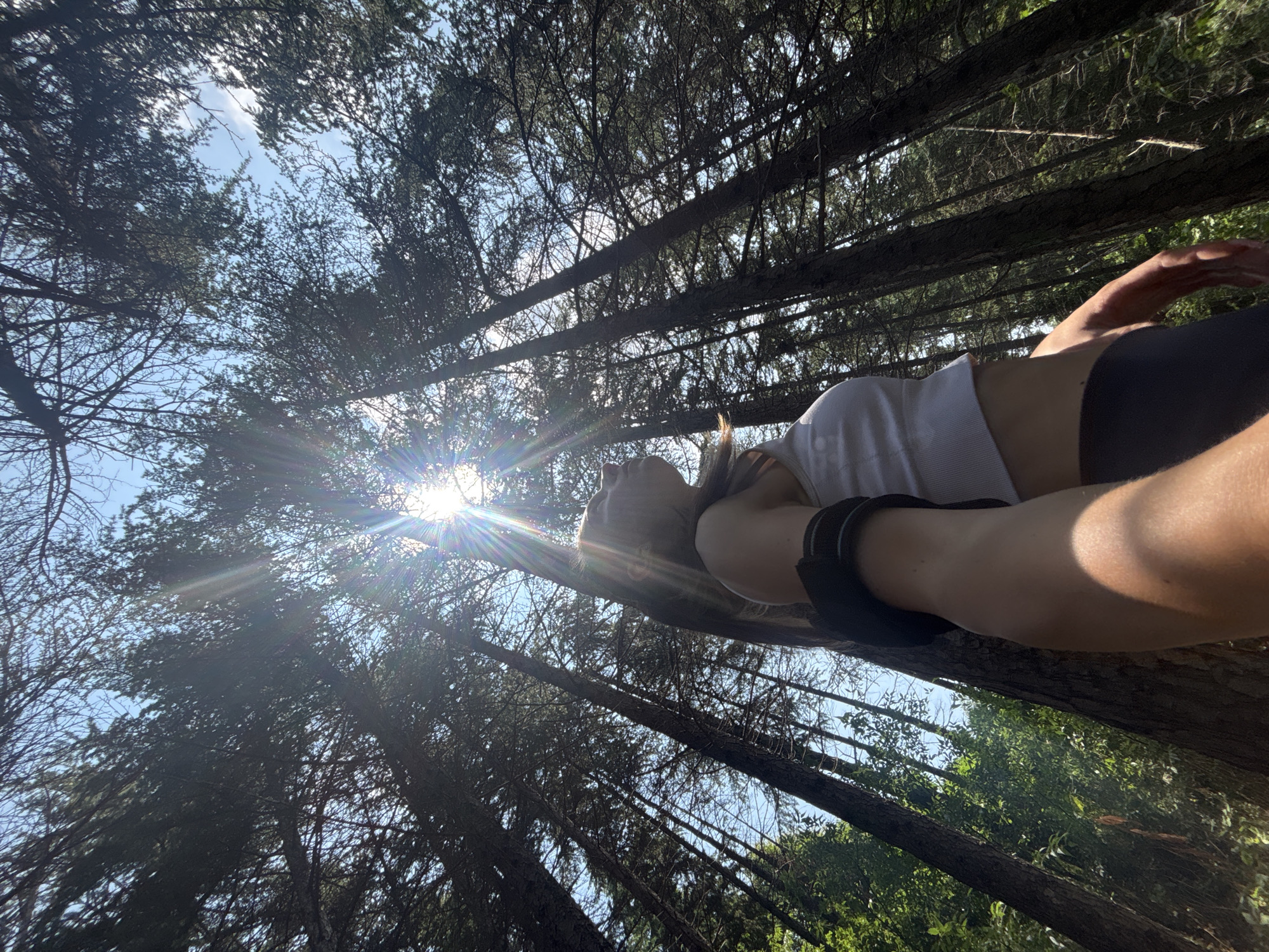 A person is lying on their back on a tree trunk, looking up at the sky through a canopy of tall trees. The sun is shining brightly, creating lens flare effects and dappling the scene with light. The person is wearing a white top and dark bottoms, with a black band around their upper arm. Their head is tilted back, and their eyes are closed or looking upwards, suggesting relaxation or contemplation. The trees are densely packed, with thin branches and needles forming a natural frame against the clear blue sky. The overall impression is one of peacefulness and connection with nature. The time of day appears to be late morning or early afternoon, given the intensity of the sunlight. The location is likely a forest or wooded area in Varna, Bulgaria.