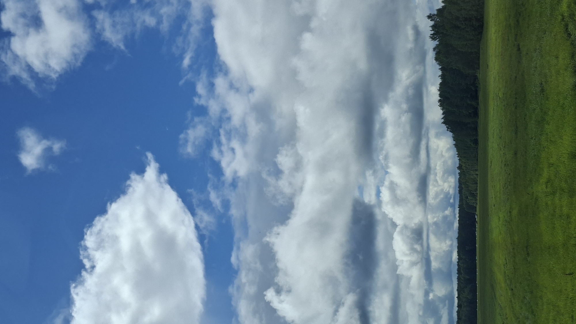The image depicts a wide, sunlit green meadow in front of a dense, dark green forest line. Above the meadow and forest, a vast blue sky is filled with a dramatic display of white, puffy cumulus clouds, some of which are large and casting shadows. The scene appears to be a rural landscape in or near the village of Svatkovsky, Belarus, characterized by its natural, open terrain and abundant vegetation. The lighting suggests it is daytime, likely mid-day or early afternoon, given the brightness of the sun illuminating the clouds and meadow. There are no people or specific man-made objects visible in the foreground or mid-ground. The overall impression is one of a serene and expansive natural environment.