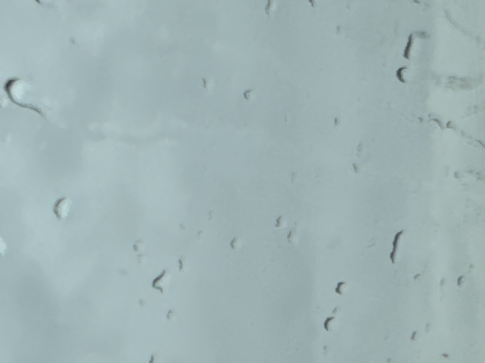 The image shows water droplets on a window, creating a blurred and distorted view of an overcast sky. There are no people, subjects, objects, or actions visible. The environment appears to be outdoors, as suggested by the sky, but the specific location in Cottrellsrath, Ireland, cannot be determined from the image alone.