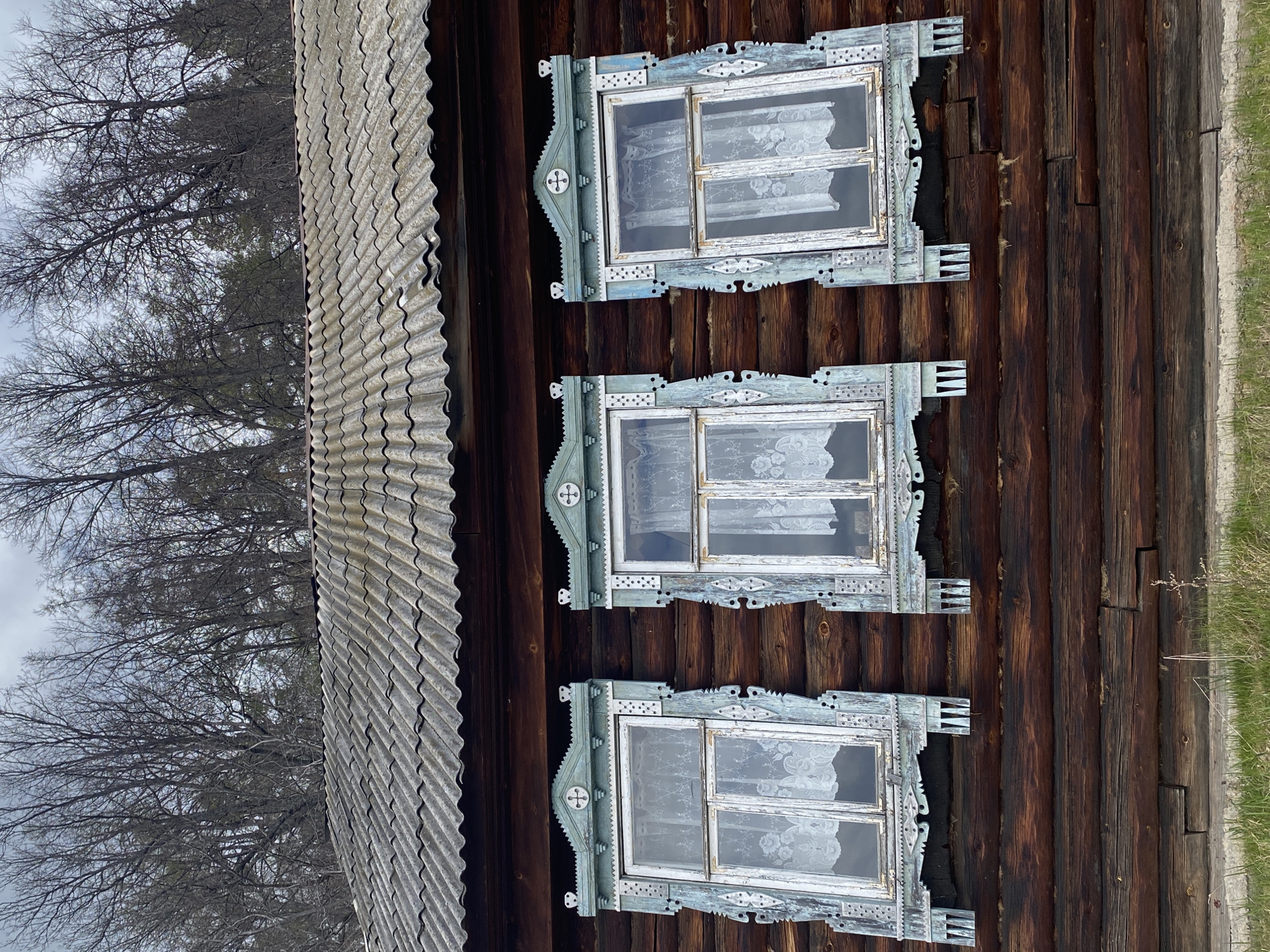 The image presents a vertical shot of a section of an old, possibly abandoned wooden structure, likely a house. The primary focus is on three windows aligned vertically along the wooden wall. Each window is adorned with ornate, light blue wooden frames featuring decorative carvings and embellishments. The windows are covered with lace curtains, partially obscuring the view to the outside.
To the left of the wooden wall, there is a corrugated metal roof with a gray color. Behind the roof, bare tree branches without leaves are visible, suggesting that the image was taken during late fall, winter, or early spring.
To the right of the wooden wall, there is a patch of green grass.
The location may be in Noviy, Russia, as specified in the prompt, though there are no inherent elements within the scene to definitively confirm the location. The scene depicts a sense of aging, possible dilapidation, and possibly a rural or historical context.