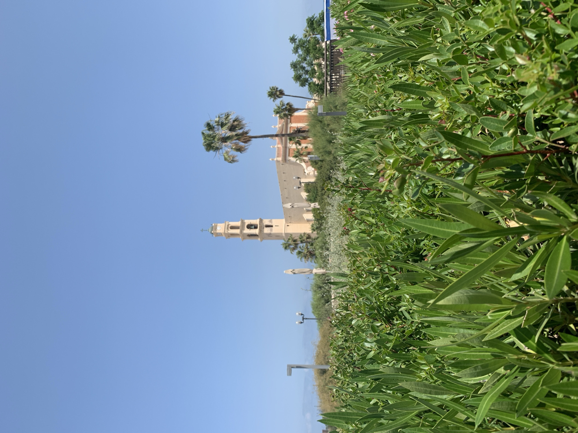 The image captures the St. Peter’s Church in Jaffa, part of Tel Aviv, Israel, viewed from a low angle through lush greenery. The clear blue sky serves as a backdrop for the church's tall bell tower and adjoining structures. Palm trees are visible alongside the church. In the foreground, there are dense green bushes and foliage, partially obscuring the scene. Street lamps and other urban infrastructure elements are also discernable in the view.