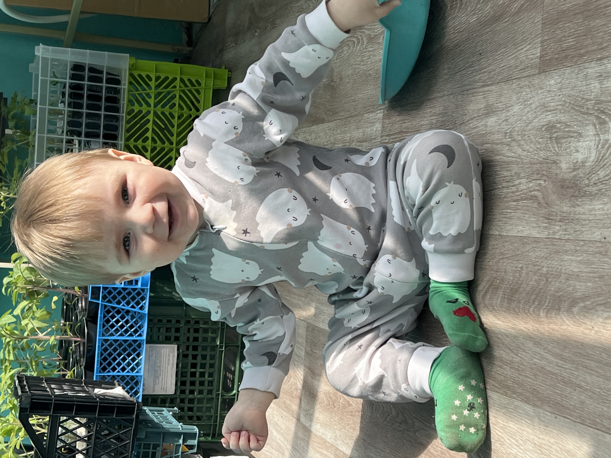 A young child with blonde hair and blue eyes is captured sitting on a light wooden floor, smiling broadly at the camera. The child wears a grey full-body pajama suit patterned with white ghost-like figures, dark crescent moons, and stars. Their feet are clad in mismatched green socks; one features a red heart design, while the other displays white stars on its sole.
In the background, an assortment of plastic crates is visible, including white, bright green, and blue ones. These crates appear to contain dark objects, possibly plant pots. Lush green plants, suggesting seedlings or potted herbs, are seen growing behind and within some of the crates. A teal or turquoise-colored wall is present on the left, contrasting with a lighter wall or surface in the upper background. A dark-colored, structured object, possibly a toy, is partially visible in the lower left corner. A teal plastic bowl or scoop is partially seen near the child's right arm.
The indoor setting is brightly lit by natural light, casting gentle shadows on the floor, indicating daytime. The presence of numerous plants and crates suggests a space dedicated to gardening, such as a sunroom, greenhouse, or a specific area for plant cultivation. The child's joyful expression conveys happiness. Faint, unreadable text on a white label is visible on one of the blue crates in the background. The scene is located in Perm, Russia.