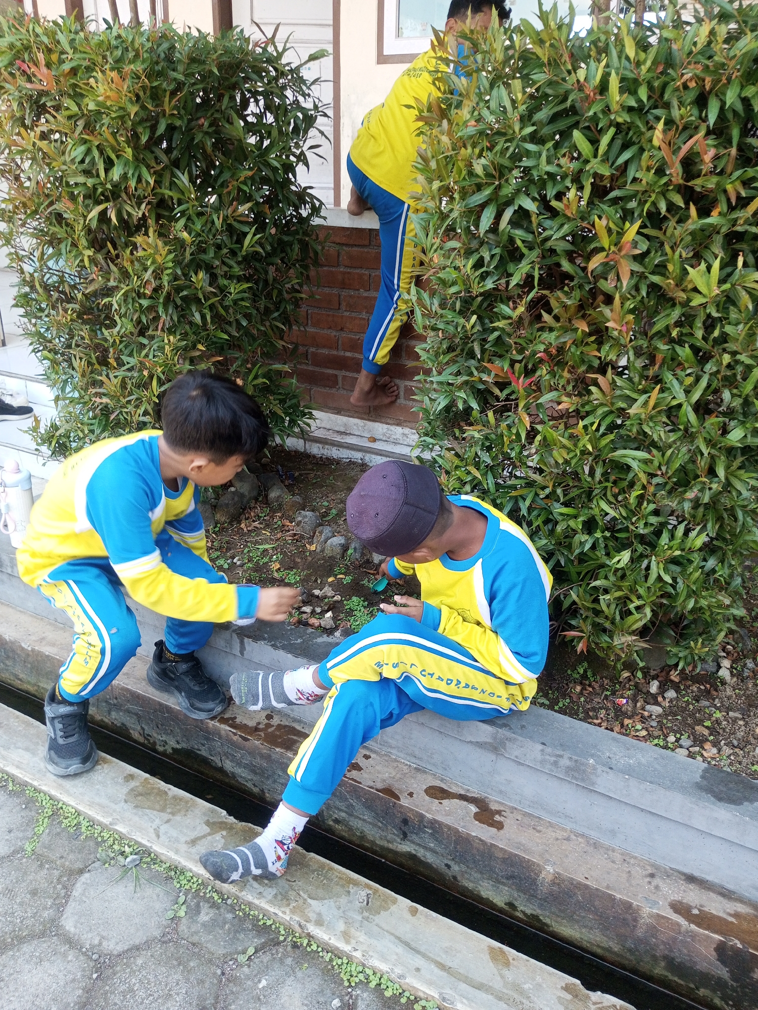 Two boys, dressed in matching yellow and blue school uniforms, are engaged in an activity outdoors in what appears to be a schoolyard in Kalibeber, Indonesia. The boy in the foreground, on the left, is crouched down and interacting with something on the ground. He has black hair and is wearing black sneakers. The second boy, on the right, is also crouched down and wearing a dark cap. He is looking down at the ground, possibly at the same activity. His attire is identical to the first boy's. A third boy, partially visible, is in the background, standing near a brick wall and a bush. The environment consists of a paved walkway or step, a concrete drainage channel with water, and dense green bushes with red-tipped leaves. The ground is covered with dirt, small stones, and some scattered leaves. A white water bottle is also visible on the walkway. The scene suggests a casual, outdoor activity taking place during the day, likely within a school setting.