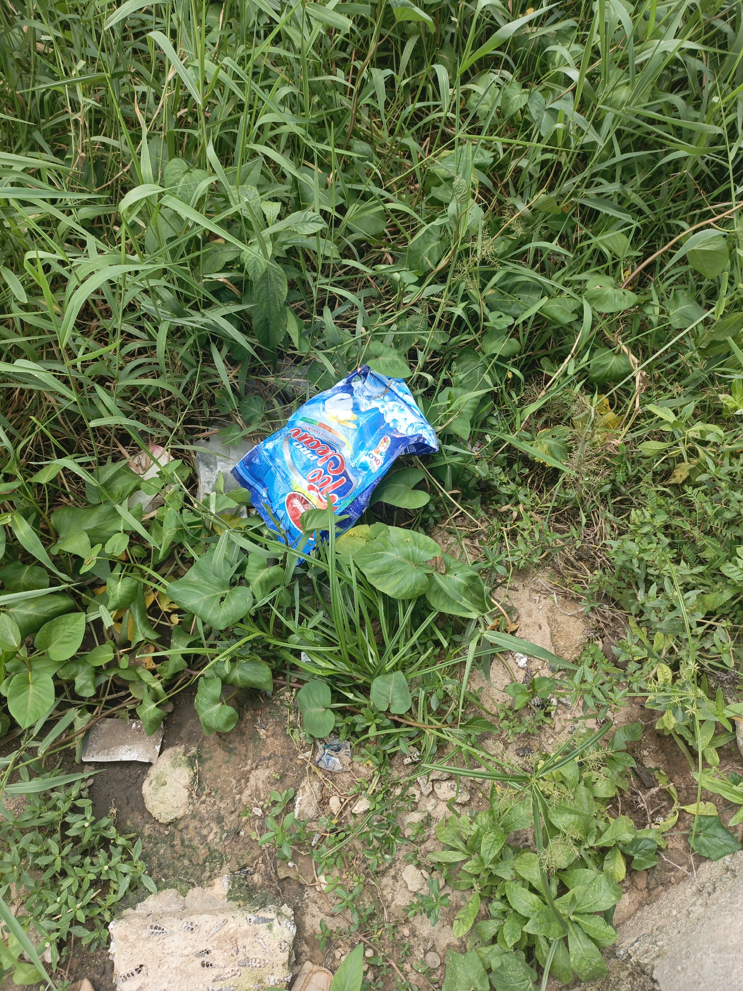 The image shows a discarded blue bag of "Ice Cream" lying in an area of dense green vegetation. The ground is a mix of soil and patches of concrete debris. The vegetation is varied, with both grassy and broader-leafed plants. The location appears to be an overgrown, unmaintained area, likely on the outskirts of a city or in a neglected urban space. The scene suggests a lack of cleanliness and potential littering.