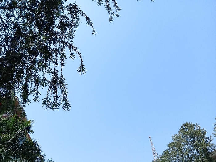 The image depicts a clear blue sky with a few wispy clouds. The top of the frame is dominated by the silhouette of a tree branch, with the rest of the tree extending downwards out of the frame. On the right side of the image, a part of another tree is visible against the blue sky. The coordinates provided, 30.304 latitude and 78.017 longitude, indicate that the image was taken in Dehradun, India. The image appears to be taken from a low angle, looking upwards towards the sky. The subject matter of the image is the blue sky and the tree branches, with no people or other objects present.