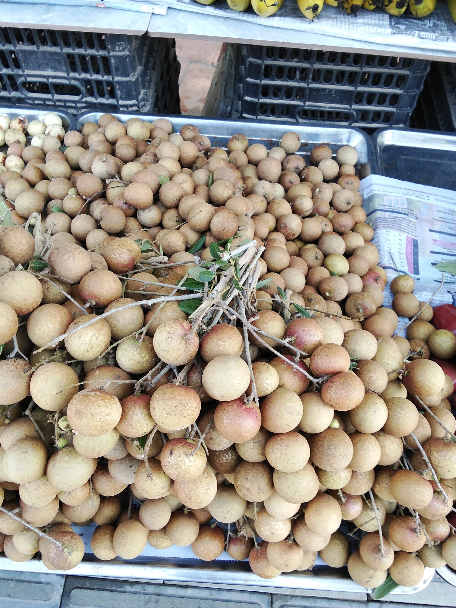 A street market in Phu Thuy Ward, Vietnam, displays a large quantity of longan fruit for sale. The fruit, varying in shades of light brown and tan with occasional reddish tinges, is piled high on metal trays. Many of the longans are still attached to their branches, some with small green leaves. The background shows black plastic crates, possibly used for transporting produce, and a stack of newspapers. The lighting suggests an outdoor setting, likely during the daytime. No people are visible in the frame.