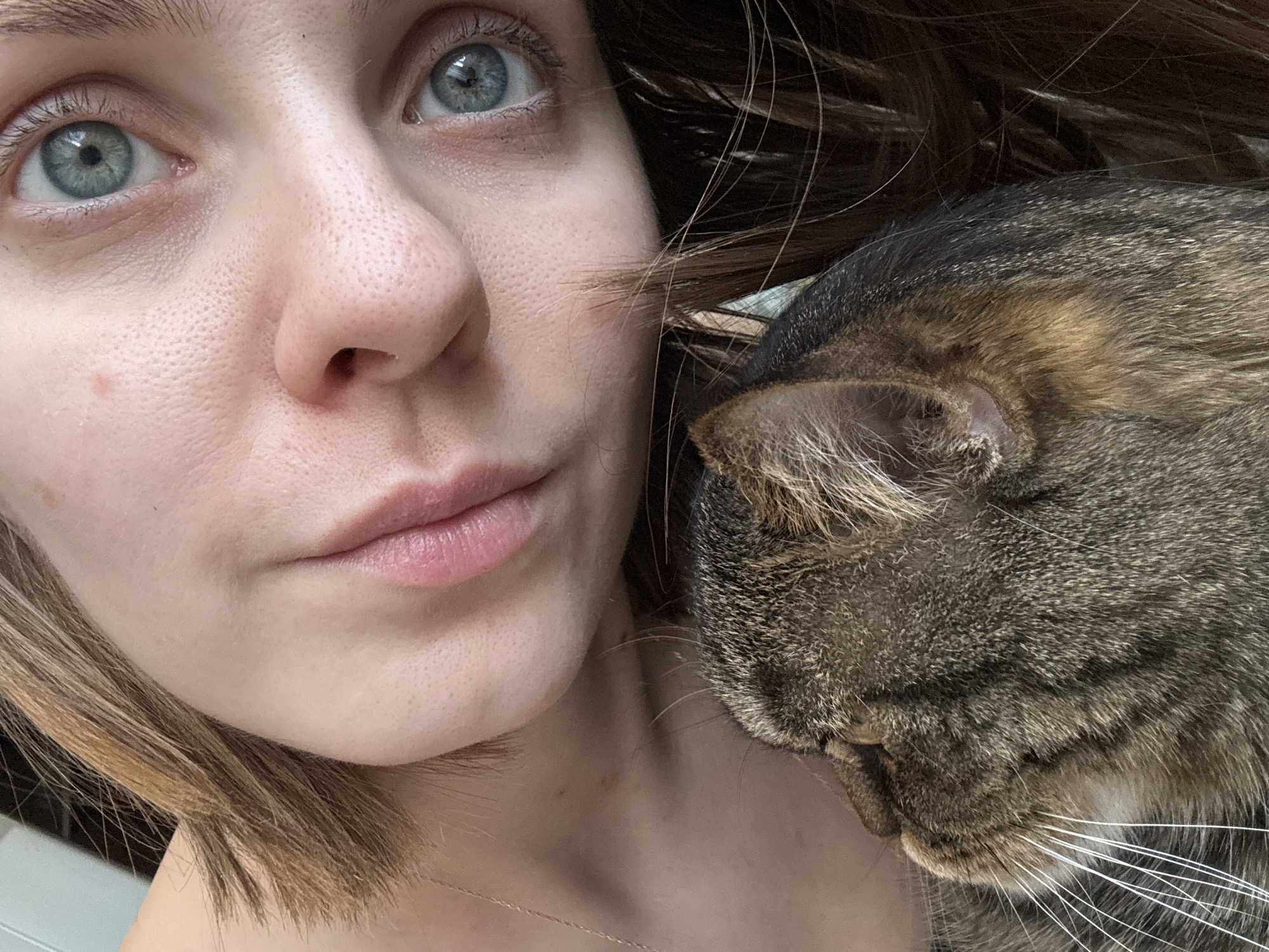 The image displays a close-up, diagonally oriented view featuring a human subject and a domestic cat. A fair-skinned individual's face occupies the upper right portion of the frame, showing visible pores, a natural pink upper lip, and blue-grey eyes directed towards the viewer. A small reddish blemish is present on the skin below the right eye. Light brown hair partially obscures the background and extends downwards from the subject's head. A thin, metallic chain, appearing gold-toned, is visible on the subject's left shoulder/neck area. A tabby cat, characterized by brown, black, and grey striped fur and prominent white whiskers, is positioned closely alongside the human subject, occupying the lower left area of the image. The cat's head is oriented away from the viewer. The background consists of a light, indistinct surface in the upper left and a darker, obscured area behind the human's hair, indicating an indoor setting. There are no discernible visual cues within the image to identify a specific location in Perm, Russia.