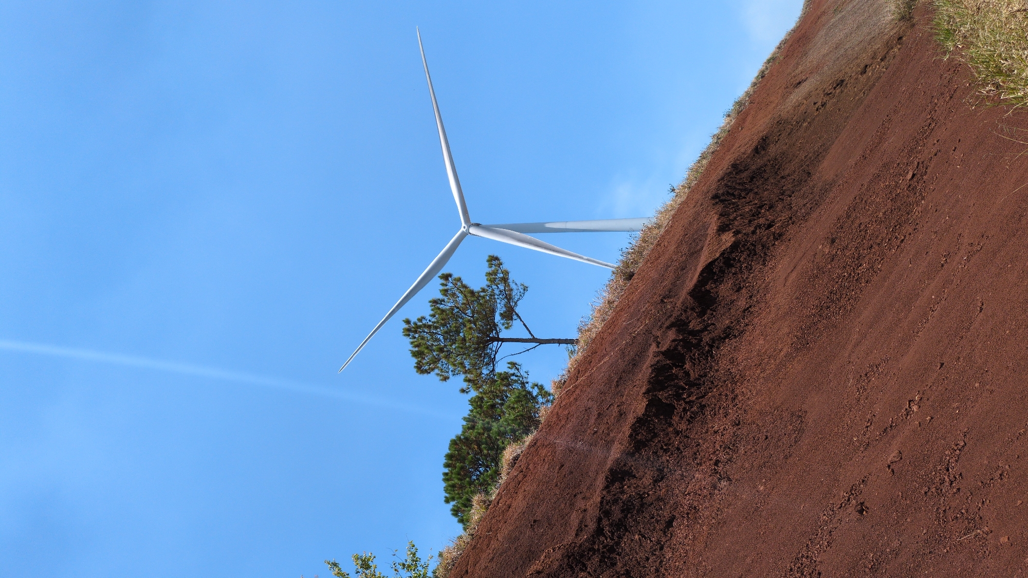 A low-angle shot shows a wind turbine behind a tree on a red dirt slope, with a clear blue sky overhead. The wind turbine has three white blades. The slope is composed of reddish-brown soil. Sparse green vegetation grows at the top of the slope. The angle suggests the viewer is looking up. The location is Phát Chi, Vietnam.