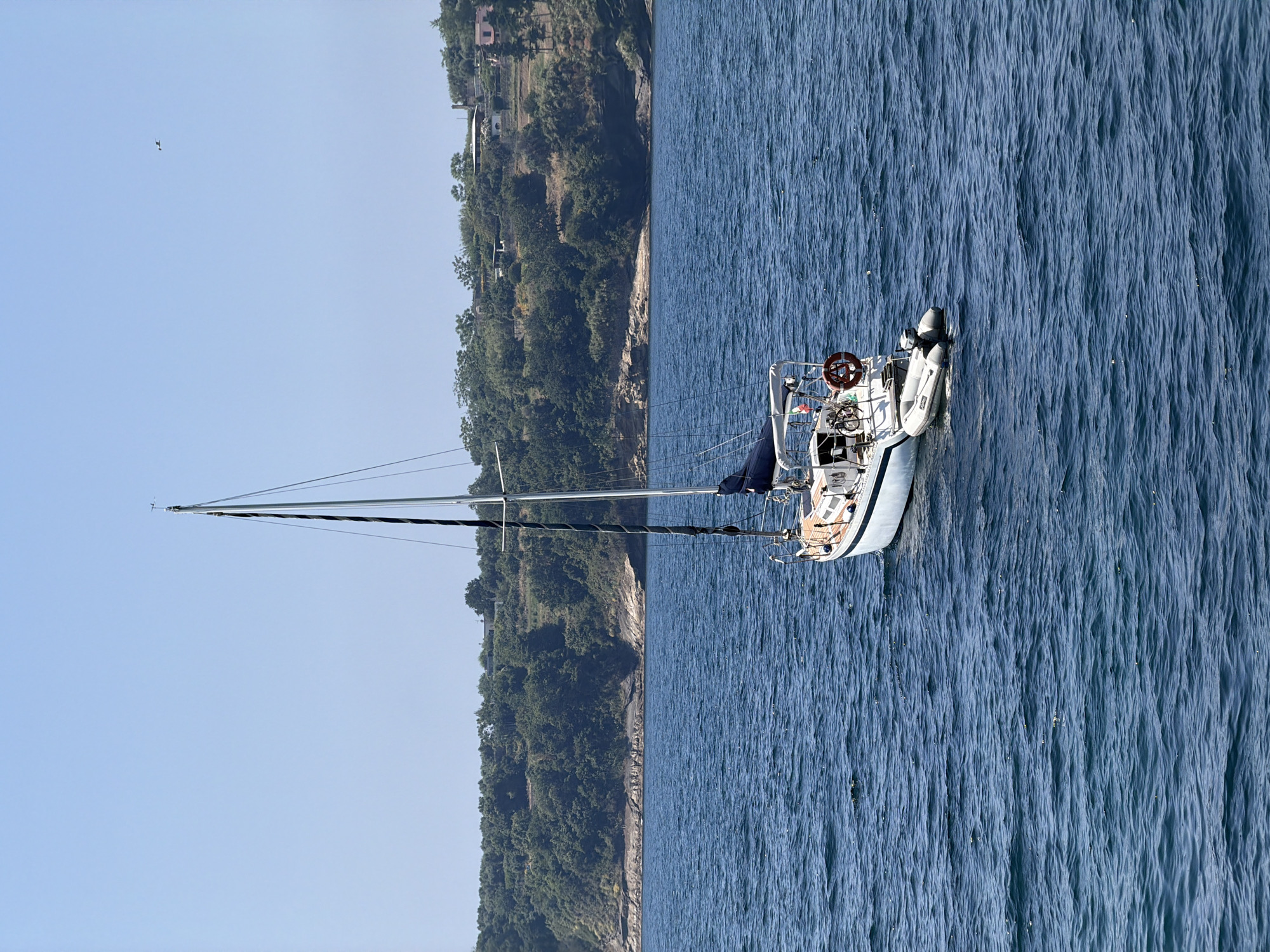 The image captures a sailboat on the water off the coast of Procida, Italy. The boat is white with a tall mast, and a partially furled sail. The stern contains a steering wheel and a small inflatable dinghy attached. The water has a rough texture, indicating some wind. A forested coastline is visible in the background, with a few buildings near the top of the hill. The sky is clear and blue. A bird is seen flying towards the sky. The general location is the coastal area around Procida, Italy.
