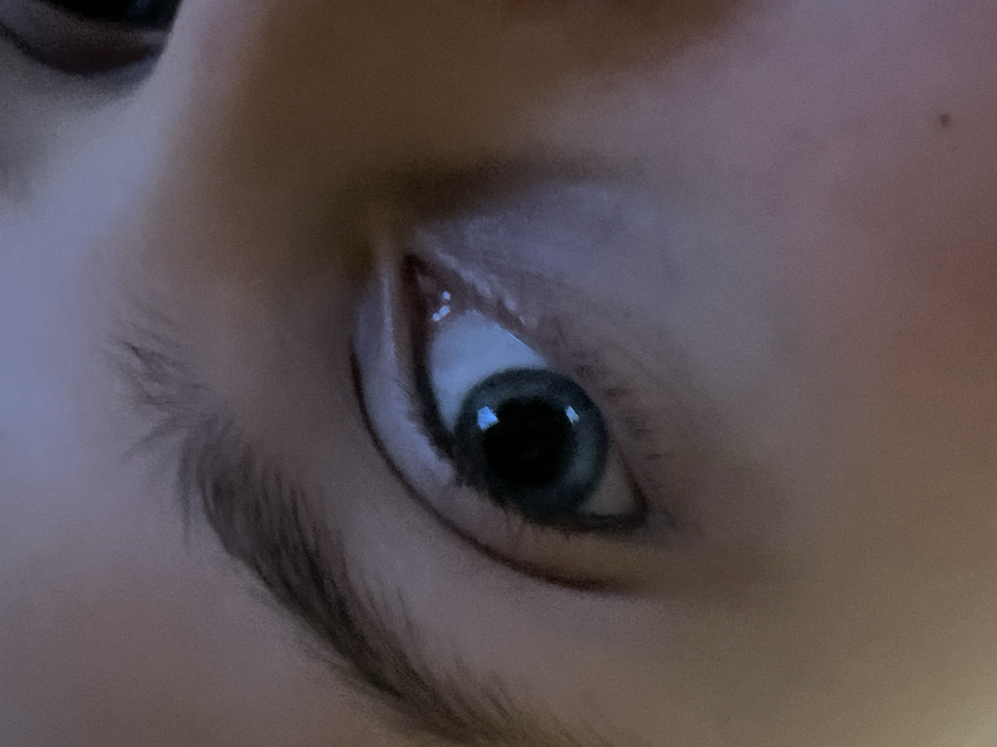 This is a close-up, extreme-angle photograph of a person's left eye. The eye is open, with a dark pupil and a grey-blue iris. The surrounding skin is pale and has some subtle purple undertones, suggesting low lighting conditions. The eyebrow above the eye is dark and well-defined, with individual hairs visible. The image is slightly out of focus, adding to the abstract quality of the close-up. There are no discernible elements of a city, architecture, or environmental features that would indicate a specific location in Saint Petersburg, Russia.