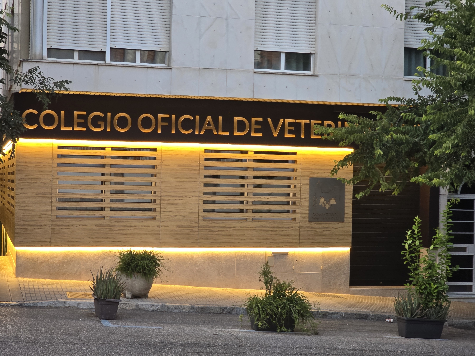 The image shows the exterior of the "Colegio Oficial de Veterinarios de Jaén," located in Jaén, Spain. The building features a modern facade with a prominent black sign with illuminated gold lettering spelling out the institution's name. Below the sign, there are horizontal wooden slats with openings, appearing to be decorative or functional elements of the building's exterior. A bright yellow light runs along the base of the building, illuminating the sidewalk and surrounding area. In front of the building, there are several potted plants, including two in the foreground and one larger pot to the left. The street in front of the building is paved with asphalt. The overall impression is one of a well-maintained, official building in an urban setting.