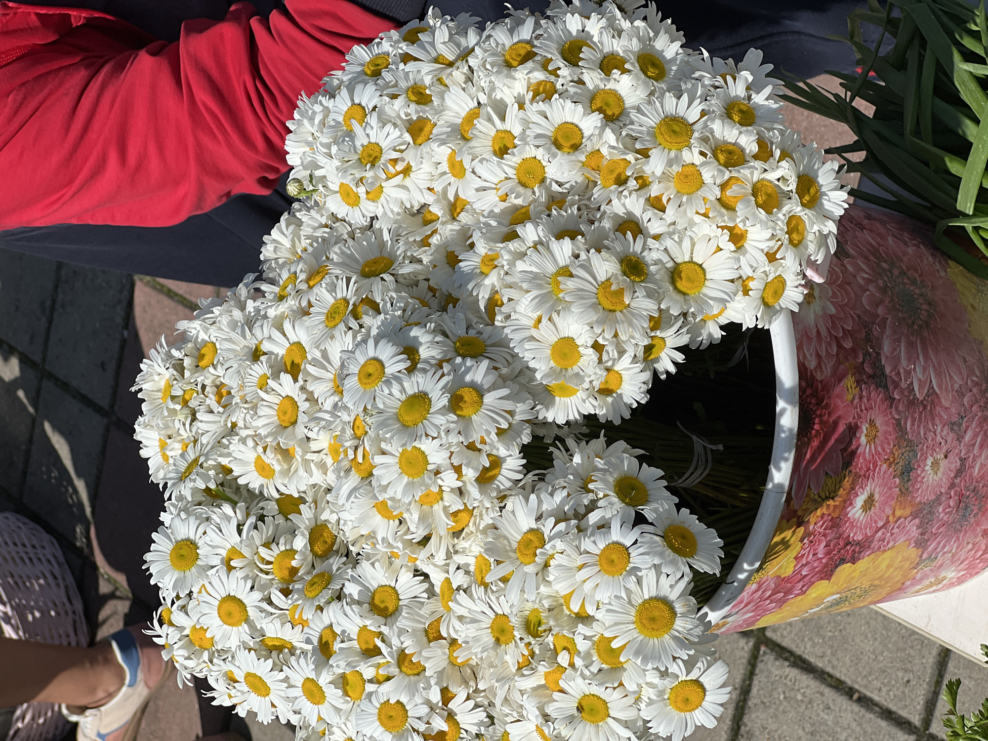 A high-angle shot shows a large bouquet of daisies filling a floral-patterned container. The daisies have white petals and yellow centers. Part of a person wearing a red top and dark pants is visible on the left side of the image. In the lower left, another person is seen wearing white and blue shoes. The bouquet and container are positioned on a paved surface, likely a sidewalk. A few long green stalks are visible behind the bouquet. The image was taken in Goryachiy Klyuch, Russia.