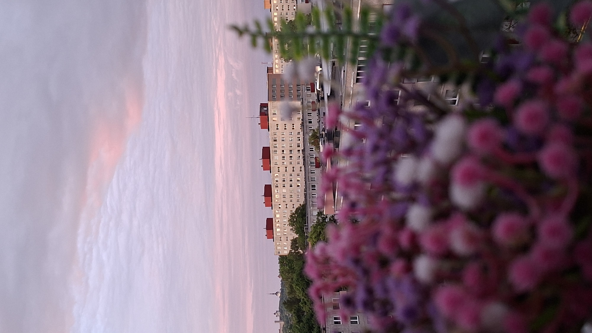 The image shows a residential building in Tallinn, Estonia, with a soft, pastel-colored sky above. In the foreground, out-of-focus flowers in shades of pink and purple create a bokeh effect. The building itself is a multi-story structure with a consistent facade of windows and red rectangular elements on the roofline. To the left of the main building, a spire of a distant church or tower is visible, suggesting a city skyline. The sky exhibits wispy clouds tinged with pink and purple hues, indicative of either sunrise or sunset. The overall scene is tranquil and atmospheric, with the blurred flowers in the foreground adding a sense of depth and a romantic aesthetic to the urban landscape.