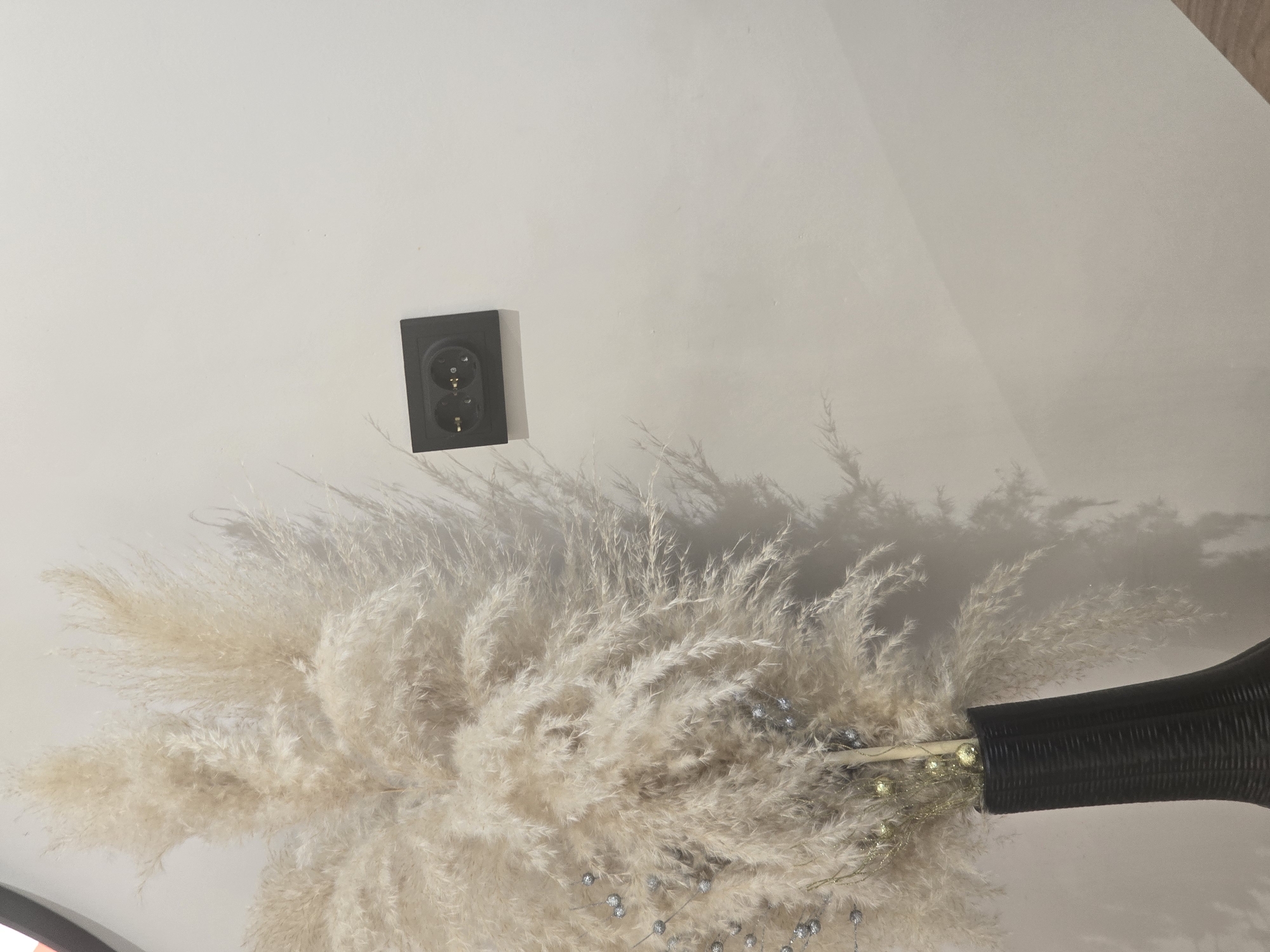 The image shows a close-up view of a black electrical outlet with two circular sockets, mounted on a plain, off-white wall. To the left of the outlet is a large, fluffy dried pampas grass arrangement in a dark, textured vase. The pampas grass is light beige and casts a soft shadow on the wall. There are small decorative elements, including what appear to be silver beads and gold spheres, attached to some of the dried stems. The scene is indoors, with natural light illuminating the wall and casting shadows. The location is not identifiable as Ulan-Ude, Russia, or any specific city.