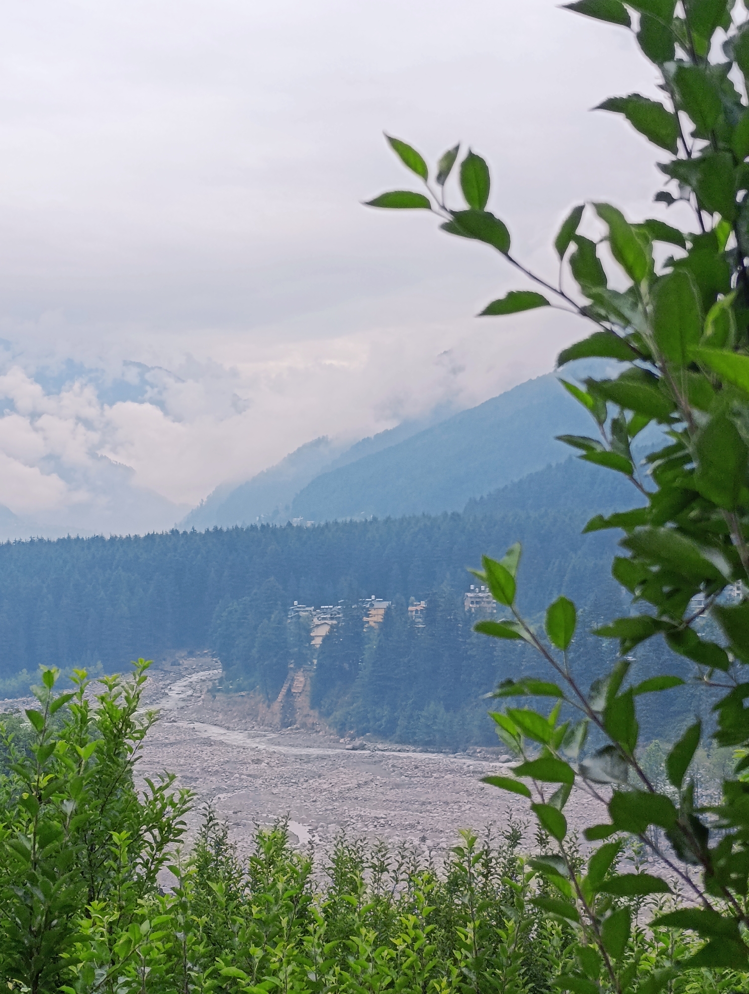 This is a vertical, medium-shot, eye-level photograph of a mountainous landscape in Vashisht, India. The foreground features lush green foliage, some of which is blurred by motion. The midground is dominated by a dense evergreen forest that extends across the frame, with a wide, rocky riverbed cutting through it. A few buildings, appearing to be hotels or residences, are visible nestled within the trees on a hillside. The background consists of layered, hazy blue mountains partially obscured by soft, white clouds. The sky is overcast with a pale grey hue. There are no people or animals present in the scene.
