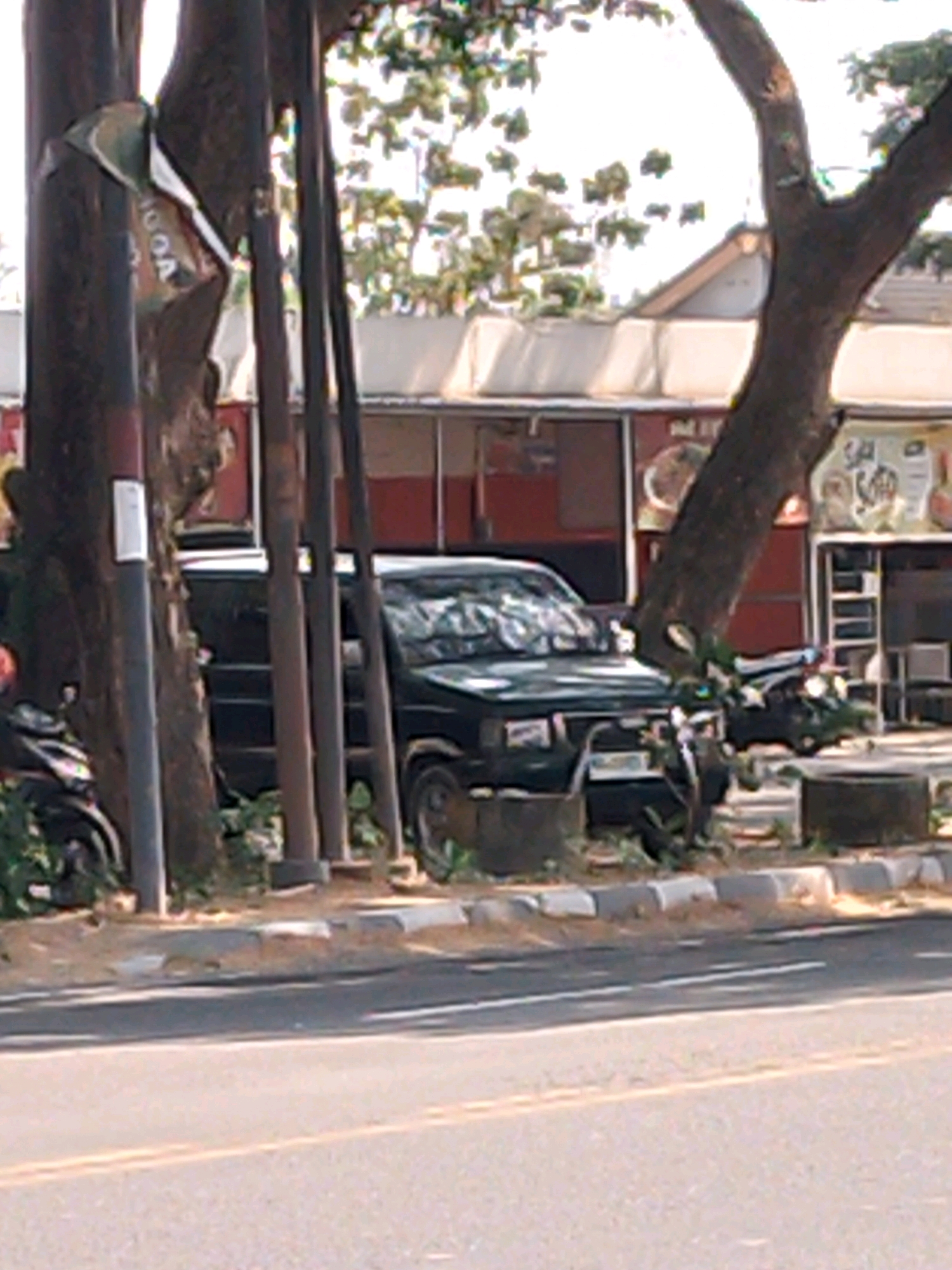 The image depicts a street scene in Kutorejo, Indonesia. In the foreground, a grey asphalt road with a yellow double line is visible. A paved curb separates the road from a patch of dirt and sparse vegetation. Behind the curb, a black pickup truck is parked, partially obscured by trees and vertical poles. The truck has a tarp covering its bed and its front windshield shows reflections. To the left of the truck, a portion of a motorcycle is visible. Behind the truck and poles, a low-rise building with red and white walls and a dark roof is situated. Trees with dark brown trunks and green foliage are present throughout the scene, some of which are leaning over the road and the building. The overall lighting suggests it is daytime.