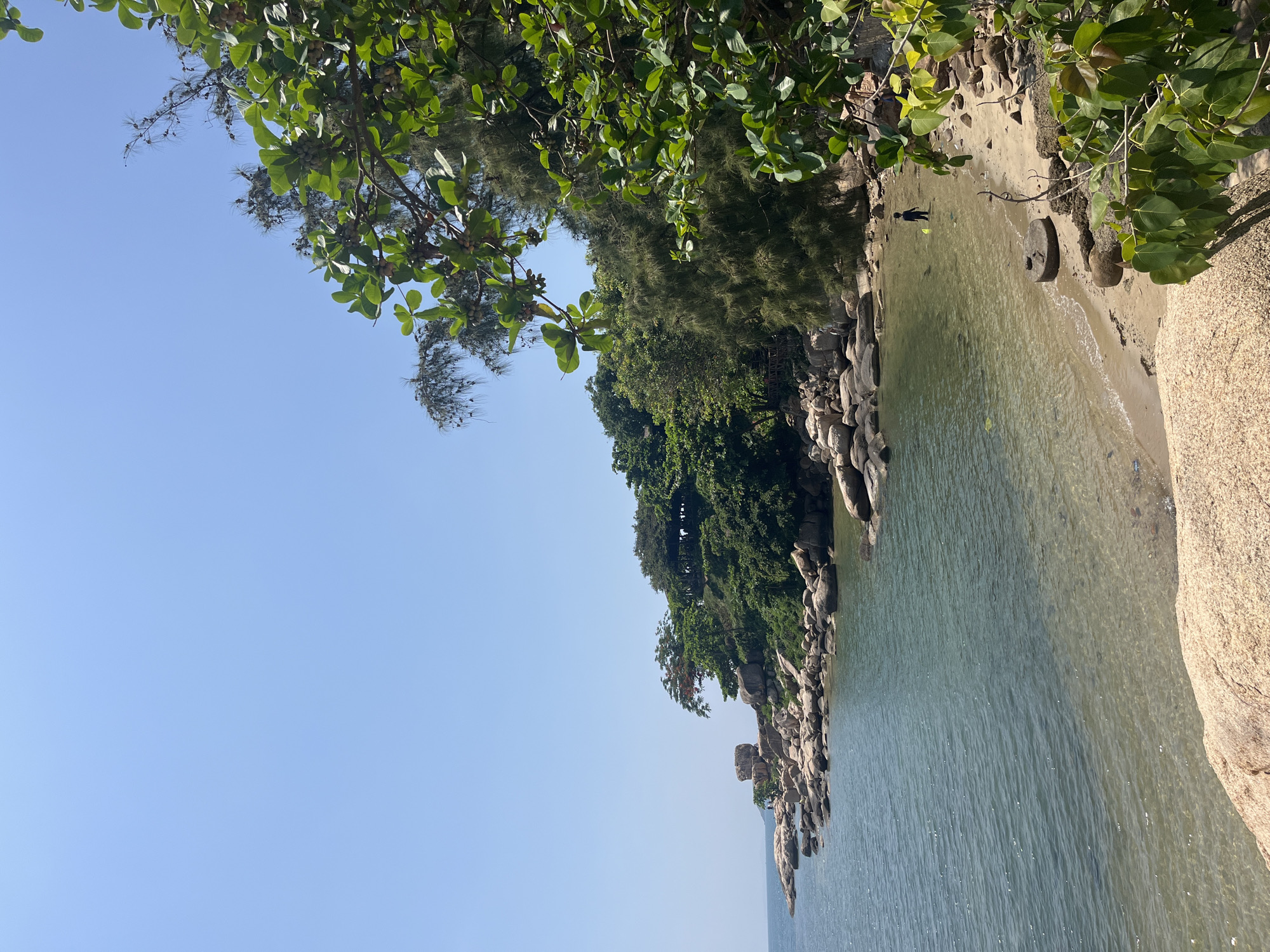 A bright, clear day offers a view of a rocky shoreline and a tranquil bay in Bac Nha Trang Ward, Vietnam. The foreground features large, light-colored boulders, worn smooth by time and tide. Beyond them, the shallow, clear water of the bay laps gently against a sandy beach. The water is a shimmering turquoise, revealing the sandy bottom beneath.
On the beach, a lone individual, appearing to be a child, stands partially submerged in the water, holding a yellow object, possibly a toy or net, in their right hand. The child is facing away from the viewer, towards the sea. The beach itself is composed of fine sand interspersed with smaller rocks and driftwood.
The shoreline curves around the bay, lined with an array of grey and brown rocks of various sizes, many of them rounded and smooth. Dense green foliage, consisting of trees and shrubs, blankets the rising land behind the rocky shore, creating a vibrant contrast with the blue sky. In the distance, the outline of a rocky promontory juts out into the sea, topped with vegetation and a few large boulders. A wooden structure, possibly a viewing platform or seating area, is visible nestled within the trees on the hillside. The overall scene evokes a sense of peaceful seclusion and natural beauty.