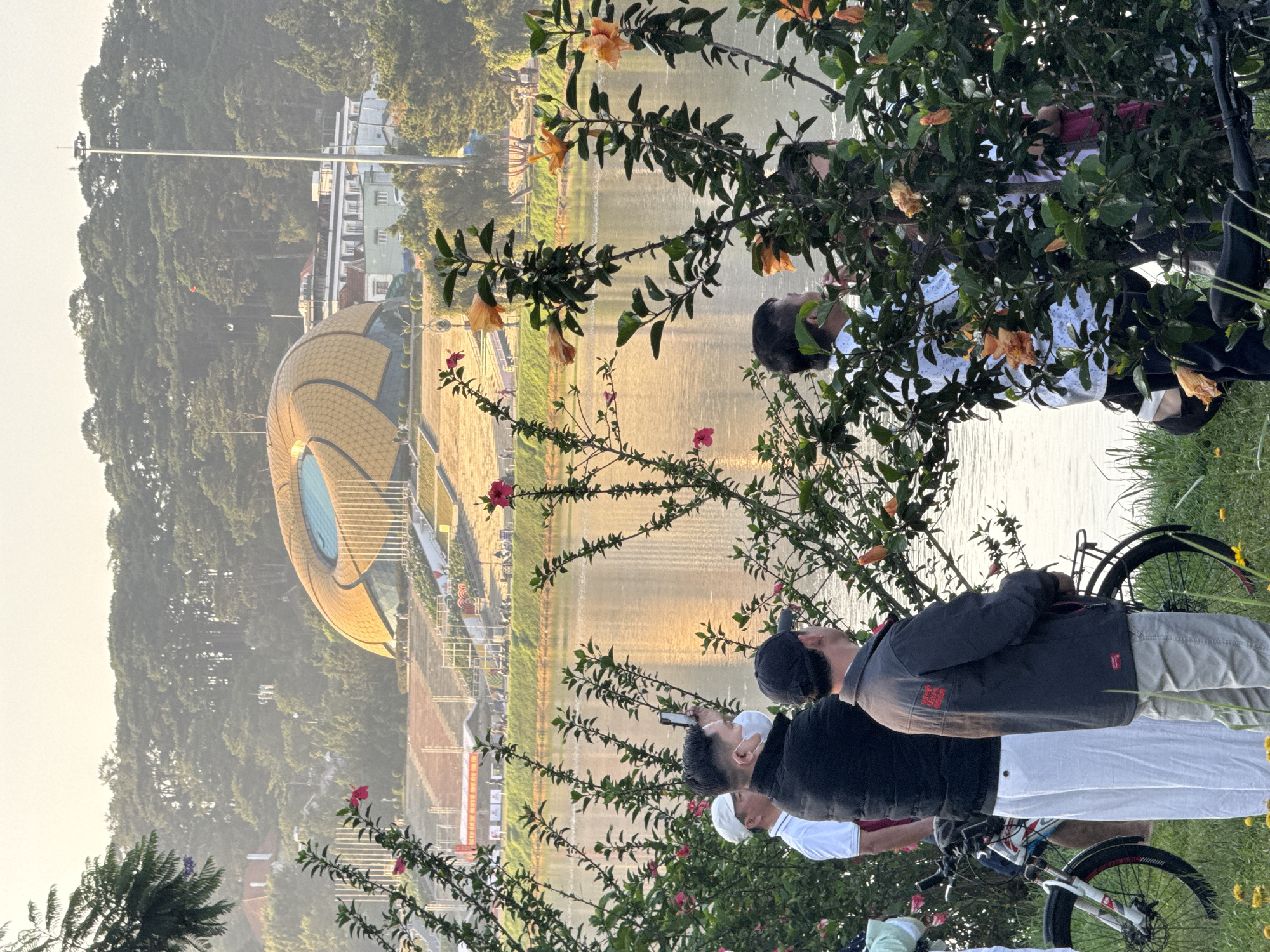 The image captures a group of people standing by a body of water, with a distinctive golden, dome-shaped building in the background. This building is identified as the Da Lat Flower Garden or the Da Lat Exhibition Center, a prominent landmark in Da Lat, Vietnam, known for its unique architectural design resembling a blooming flower.
In the foreground, several individuals are visible. One person, on the left, wears a white cap and a white shirt, with white pants. Next to them, a person in a black puffer vest and white pants is holding up a phone, possibly taking a picture or recording. Another person is wearing a dark jacket over a grey shirt and khaki pants, with a black baseball cap. These individuals appear to be observing the scenery across the water.
The environment features lush greenery, with flowering bushes in the foreground obscuring some of the people and objects. The water reflects the golden hues of the building and the soft light of what appears to be early morning or late afternoon. In the distance, a forested hillside with scattered buildings rises behind the dome, topped by a tall light pole. Two bicycles are partially visible near the people, suggesting they may have arrived by bike. The overall scene conveys a sense of leisurely sightseeing in a picturesque natural setting within the city.