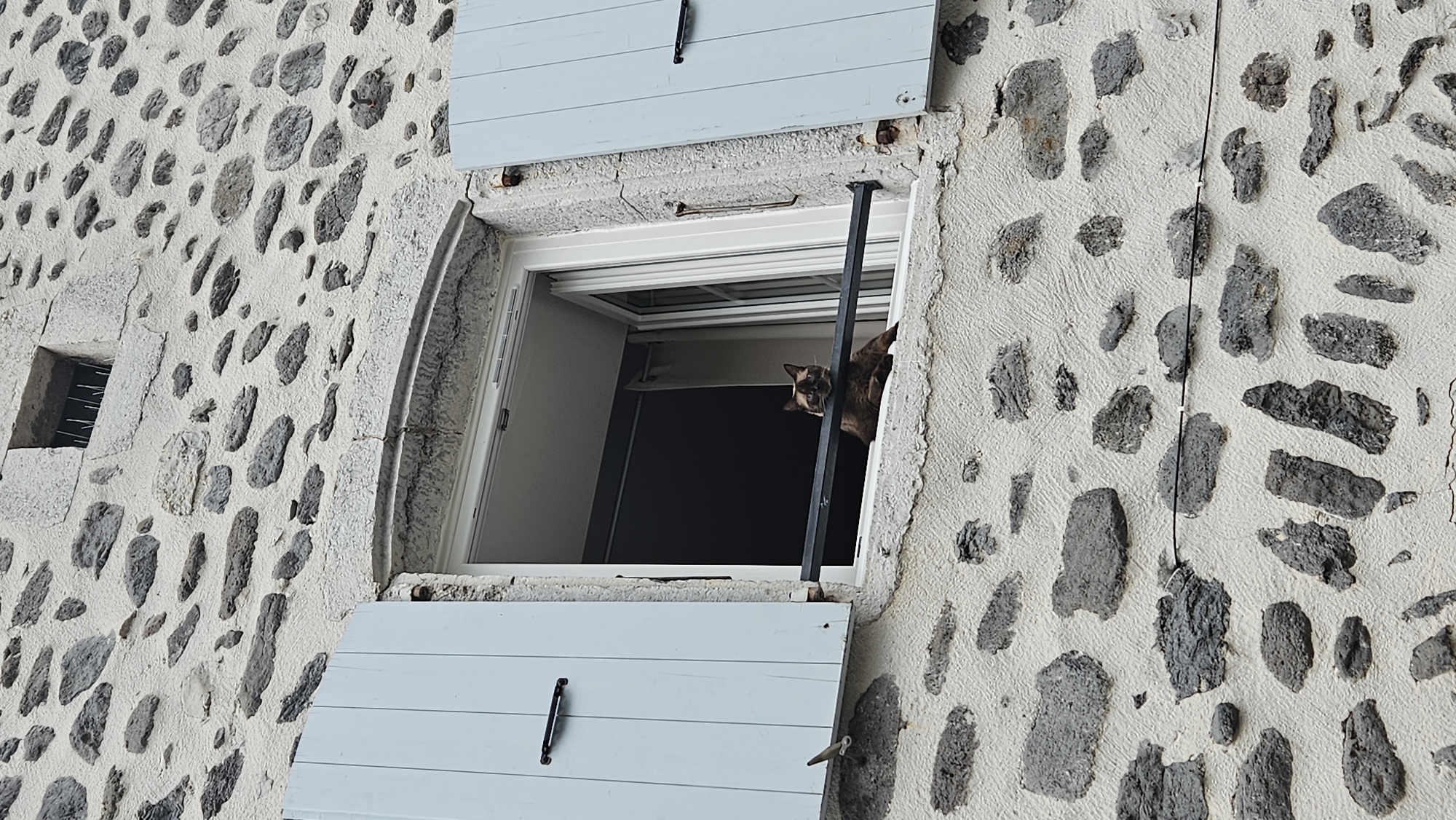 In the village of Alissas, France, a domestic short-haired cat of a Siamese mix breed is observed sitting on the windowsill of a stone building. The cat, predominantly brown with darker points on its face, ears, and paws, is positioned in the center of the frame, looking towards the viewer. Its hind legs are tucked beneath its body, and its front paws are extended forward. The building's facade is constructed from rough-hewn stones of varying sizes and irregular shapes, cemented together with off-white plaster. A white-framed window is open, revealing a dark interior behind it. Light blue shutters, partially open, flank the window. A thin black metal bar runs horizontally across the lower portion of the open window, acting as a security rail, on which the cat is partially resting. The architectural style suggests a traditional Provençal building. The image is captured from a low-angle perspective, looking upwards at the window and the cat.