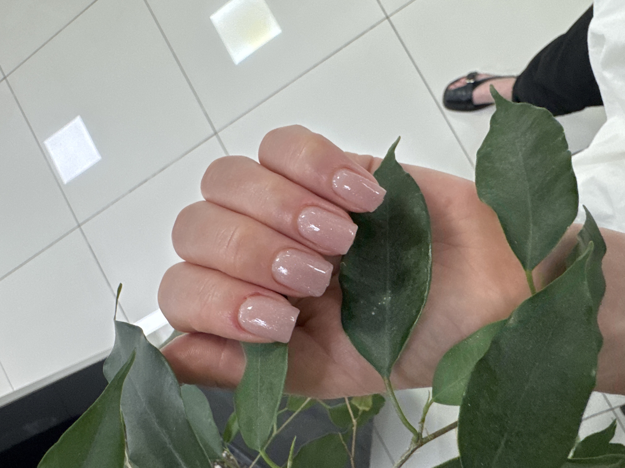 A right hand with a fresh manicure is positioned amidst leaves from a houseplant. The nails are painted with a light pink, semi-transparent polish. The hand appears to be holding a sprig of the plant. The setting seems to be indoors, given the tiled flooring visible in the background. A portion of a person's lower body is seen in the upper right corner, clad in black trousers and a white top, with black shoes.