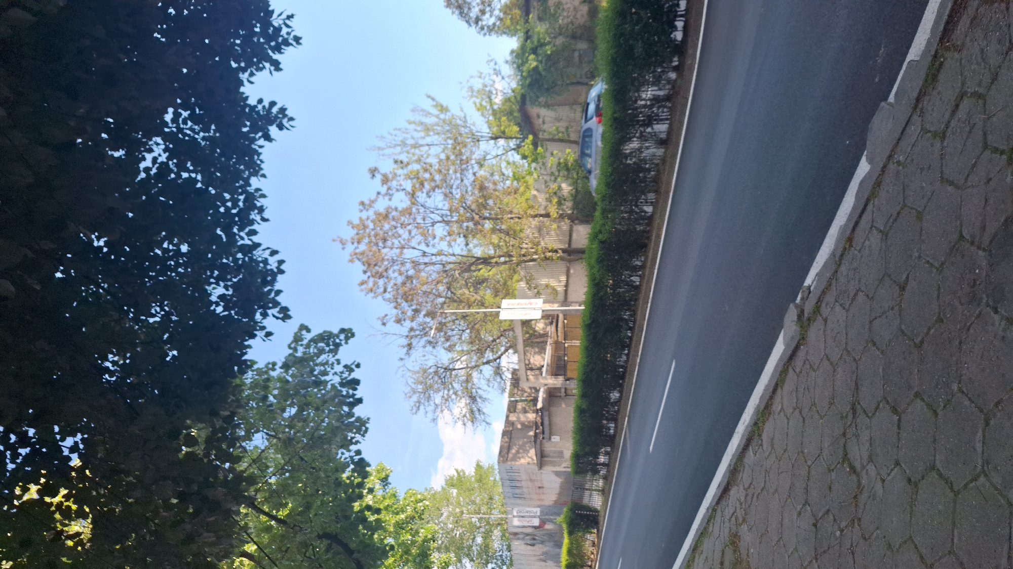 The image depicts a street scene in Blagoevgrad, Bulgaria. On the right, a paved sidewalk borders a two-lane road with a white dividing line. A row of trimmed bushes separates the road from a structure beyond, possibly a building under construction or renovation, partially obscured by trees. In the background, one car is partially visible behind the bushes. The left side of the image is dominated by trees, partially blocking the sky. The overall lighting suggests a sunny day. Signposts are visible, but the text on them is not readable.