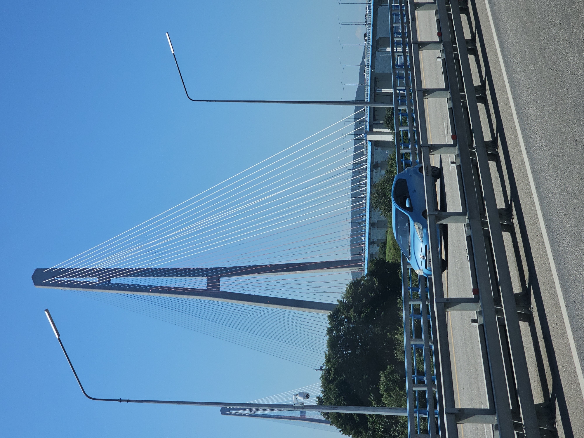 This is a vertical, eye-level, full shot of the Golden Bridge in Vladivostok, Russia, on a clear, sunny day. The bridge's main tower, a massive concrete structure, is a dominant feature on the left side of the frame, with its numerous steel cables fanning out towards the sky. A blue car drives on the road in the foreground. To the left of the main tower, another, smaller bridge tower is visible in the distance. Trees and other greenery line the riverbank beneath the bridge. In the background, a clear blue sky dominates the upper portion of the image. There are streetlights on the bridge, and a security camera is visible on a pole to the left of the main tower.