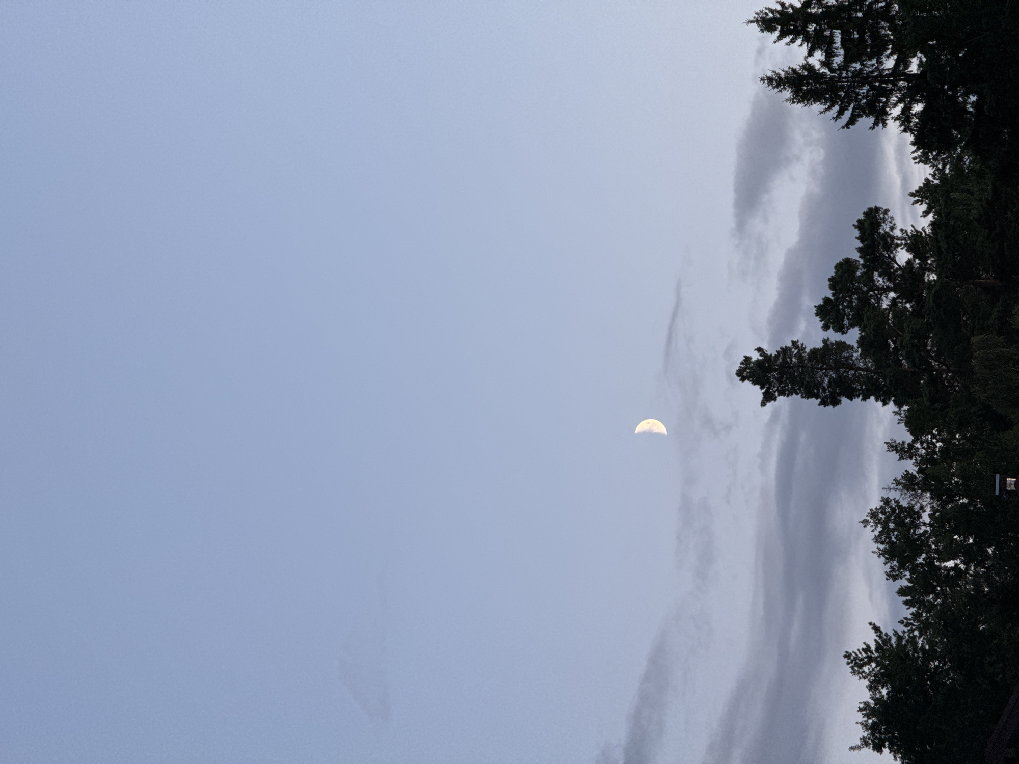 A crescent moon is visible in a pale blue sky above a silhouetted line of dark green trees. The trees, some appearing to be pine and others deciduous, form a dense canopy across the bottom of the image. Wispy, gray clouds are scattered in the sky, particularly in the mid-ground. The overall lighting suggests dusk or dawn. The scene appears to be set in a rural or suburban area, possibly on the outskirts of Бараўлянскі сельскі Савет, Belarus, given the natural landscape. No people or specific structures are clearly identifiable.