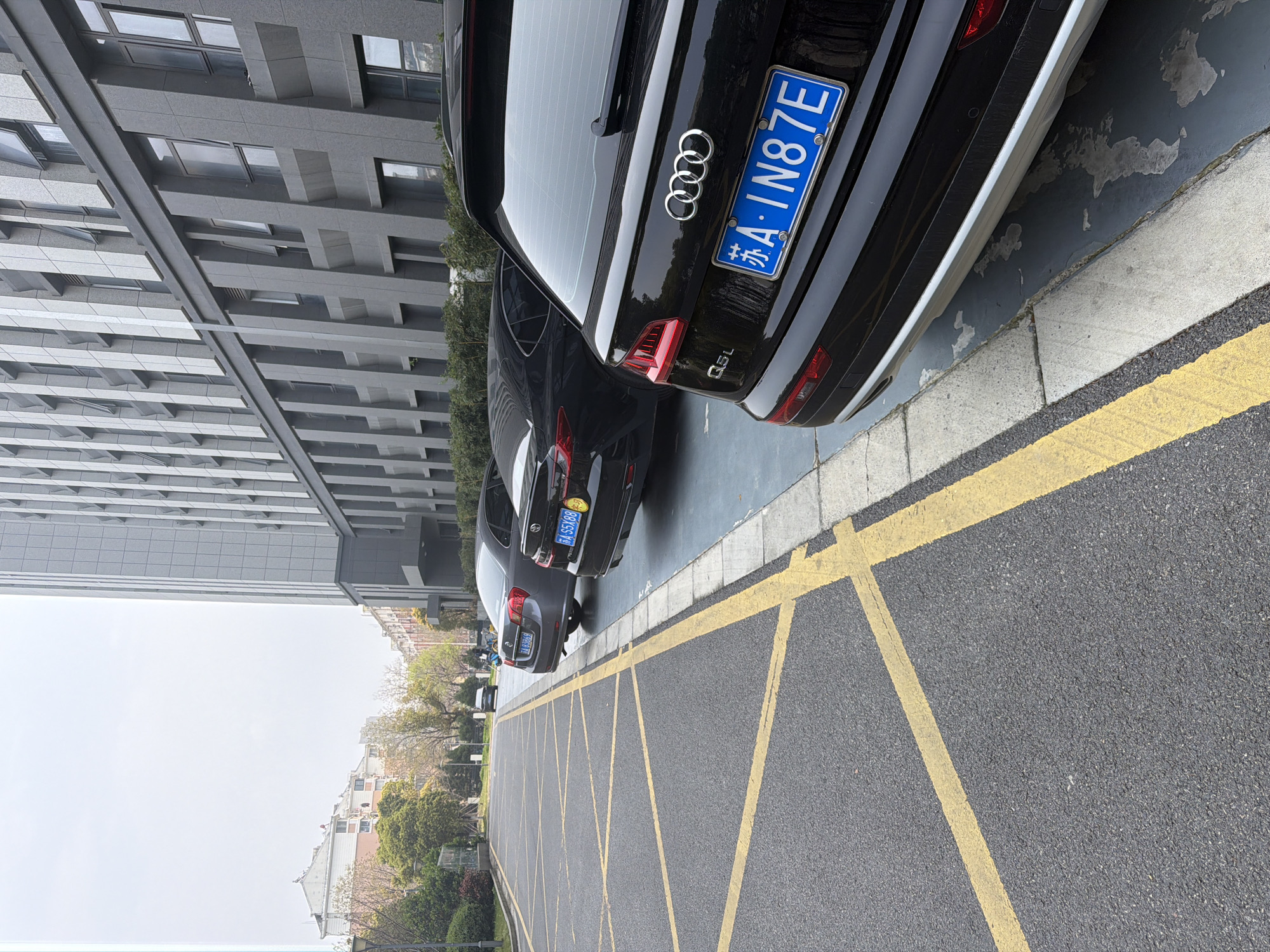 The image shows a street in Jiangning District, China, with several black Audi Q5L vehicles parked along the curb. The nearest car has the license plate 苏A·1N87E. Yellow lines denoting parking restrictions are visible on the asphalt. A modern building is on the left side of the street, and trees and other buildings are visible in the distance. The sky appears overcast.