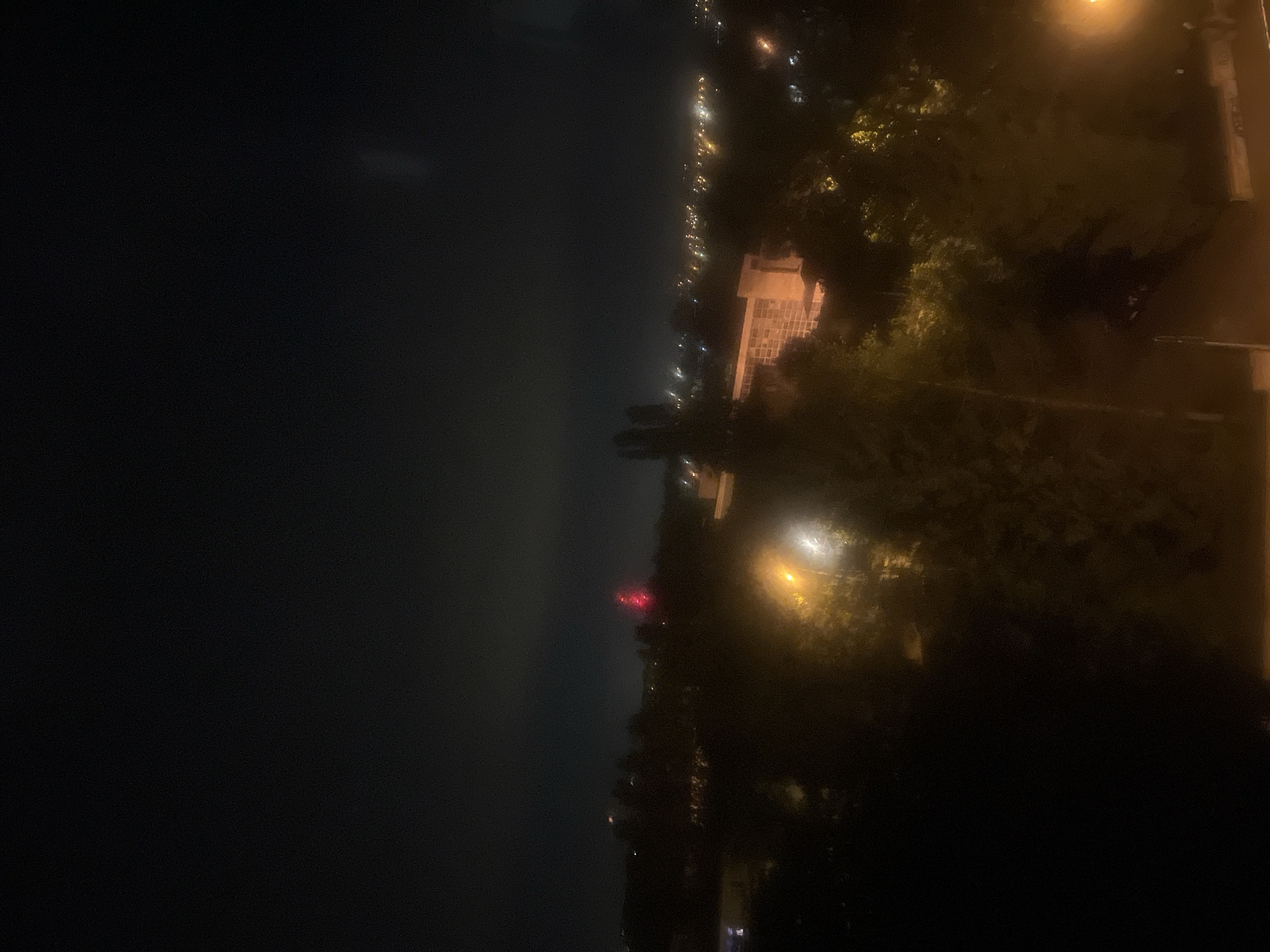 The image presents a nighttime landscape, viewed from an elevated position, looking out over a distant urban or suburban area. The scene is dominated by darkness, illuminated primarily by artificial lights.
In the foreground and mid-ground, on the right side of the frame (after rotating the image to a standard landscape orientation), dark silhouettes of trees are visible. Some of their foliage is faintly lit by warm yellow-orange streetlights or other nearby light sources. Part of a building, appearing as a multi-story structure with some illuminated sections, is also discernible on the right.
The central and left portions of the image show a dark night sky meeting a distant horizon. Along this horizon, a long, scattered line of city lights stretches across the view. These lights appear as numerous small, bright dots, predominantly yellow and white, suggesting a distant settlement, possibly a city skyline or a coastal strip of development. Among these distant lights, several distinct red lights are visible, which could be from communication towers, navigational beacons, or specific structures. The sky above the distant lights is dark, with a subtle glow near the horizon, indicative of light pollution.
The time of day is clearly night. The weather appears clear, allowing for visibility of the distant lights, although there might be a slight atmospheric haze. No specific activities or identifiable people are visible, and there is no discernible text in the image.