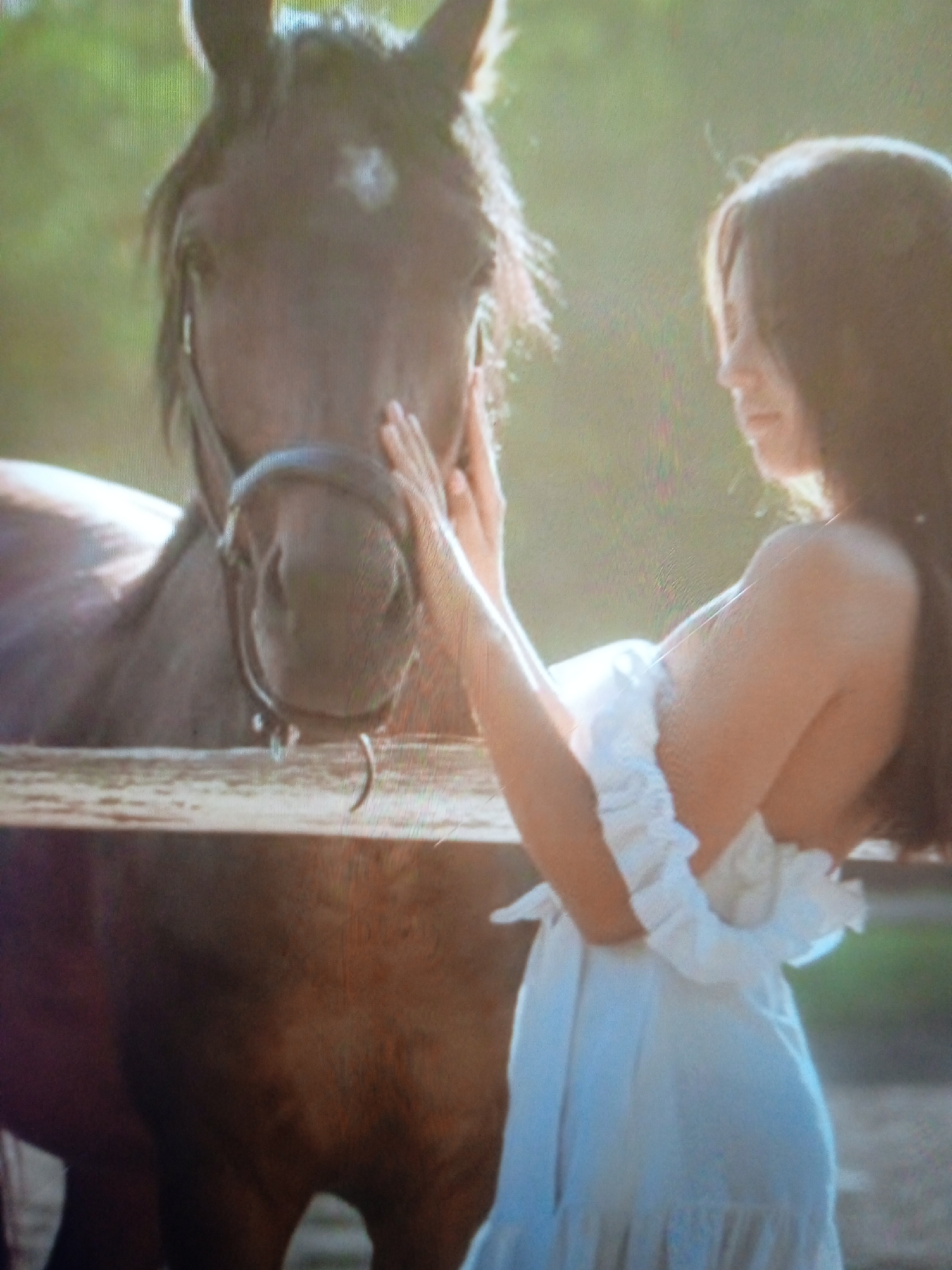 In a bright, outdoor setting, a dark-colored horse stands to the left of a young woman in a white dress. The horse's head is prominent, with its eyes visible, and it wears a bridle. The woman is positioned to the right of the horse, facing away from the viewer and looking down. Her right hand is gently touching the horse's muzzle. She is wearing a flowing white dress with ruffled sleeves. The background is a softly focused green, suggesting foliage or a natural environment. The image lacks specific urban or city identifiers, making it impossible to determine a location within Chernivtsi, Ukraine.
