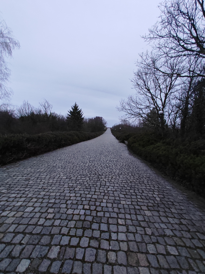 A wide, upward-sloping pathway constructed from interlocking grey cobblestones occupies the central and lower portions of the frame. The pathway, appearing wet in areas, extends into the distance, converging at a faint horizon line. This is a path leading to the "Founders of the Bulgarian State" Monument in Shumen, Bulgaria. Both sides of the path are bordered by dense, dark green evergreen bushes. Behind the bushes on the left, bare deciduous trees and a prominent evergreen conifer are visible. On the right side, additional bare deciduous trees are present, along with at least two white spherical street lamps, partially obscured by tree branches. The upper third of the image is dominated by a uniform, light grey, overcast sky. In the far distance, at the crest of the slope, a large, dark, geometric structure, likely part of the monument, is dimly visible against the sky. No individuals, animals, or vehicles are present. The scene suggests a late autumn, winter, or early spring day due to the bare deciduous trees.