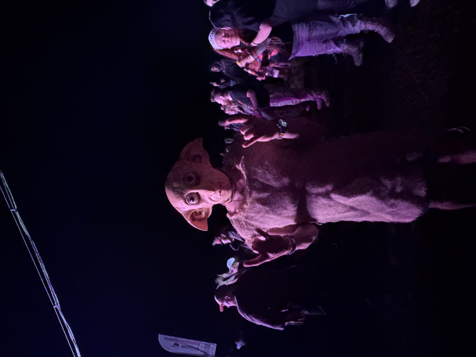 An outdoor nighttime scene in Большая Кивара, Russia, captures a gathering illuminated by pink and purple artificial light. The central figure, facing the camera, wears a detailed Dobby (Harry Potter character) mask and a rough, sack-like tunic, making a "rock on" hand gesture with both hands. A watch is visible on their left wrist. To the left, a person in a red cap and dark shirt is partially visible among indistinct figures. A white banner or flag stands on the far left. To the right of the central figure, a woman with reddish hair and a white patterned bandana is seen holding a bottle and conversing with another individual; she wears ripped jeans and light-colored boots. Several other people are present throughout the background, largely silhouetted or partially lit. The ground appears to be dark earth. Overhead, two horizontal lines, possibly wires or ropes, are visible against the dark sky, one exhibiting a faint green luminescence.