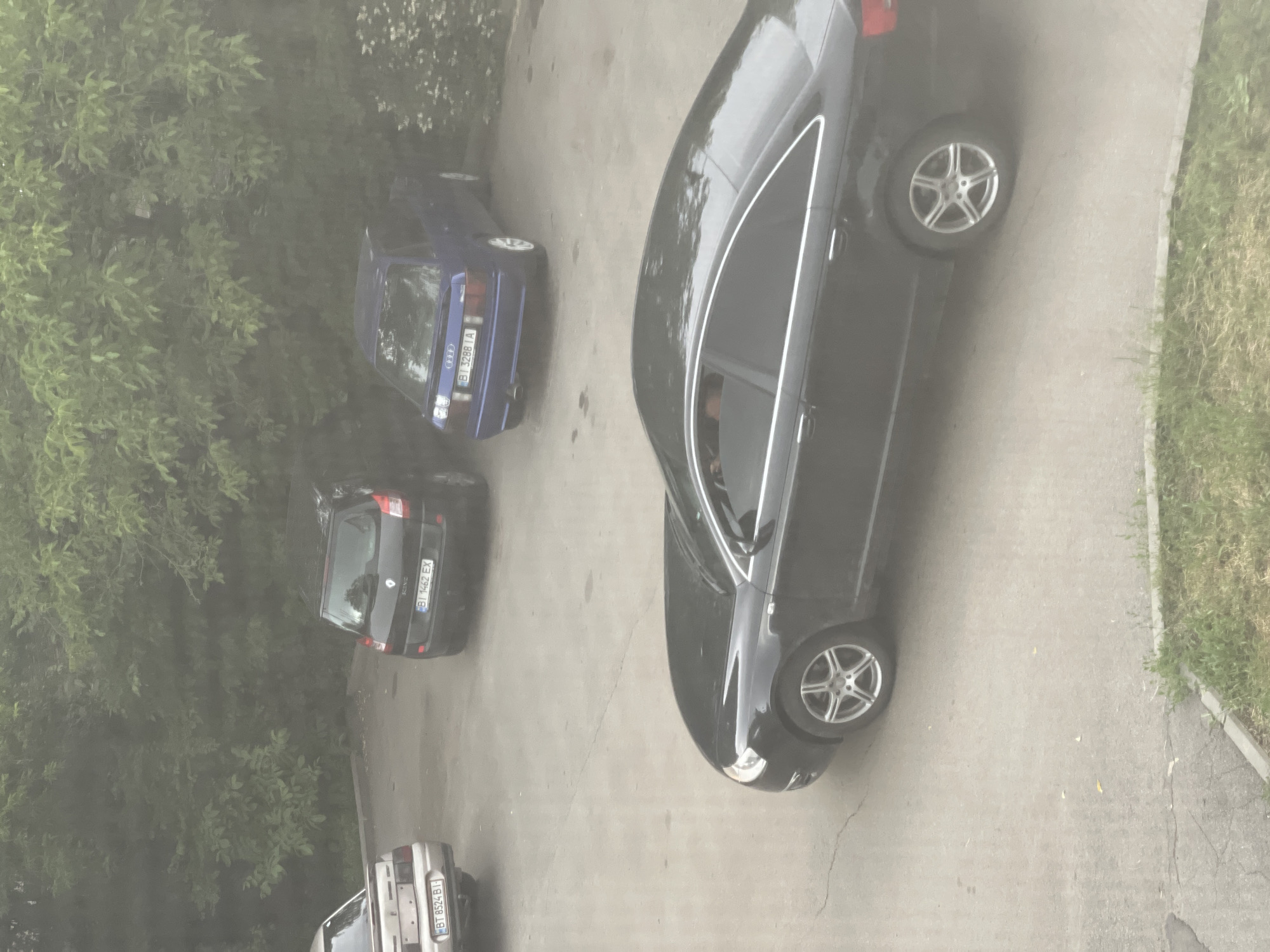 An outdoor, elevated, eye-level, medium shot captures several parked cars on a paved surface adjacent to a dense line of trees. In the foreground, a black sedan with a silver rim is positioned diagonally. Further back, to the left, a light-colored sedan is visible, followed by a black hatchback. To the right of the hatchback, a blue Audi is parked. The scene appears to be a parking area in an urban or suburban setting.