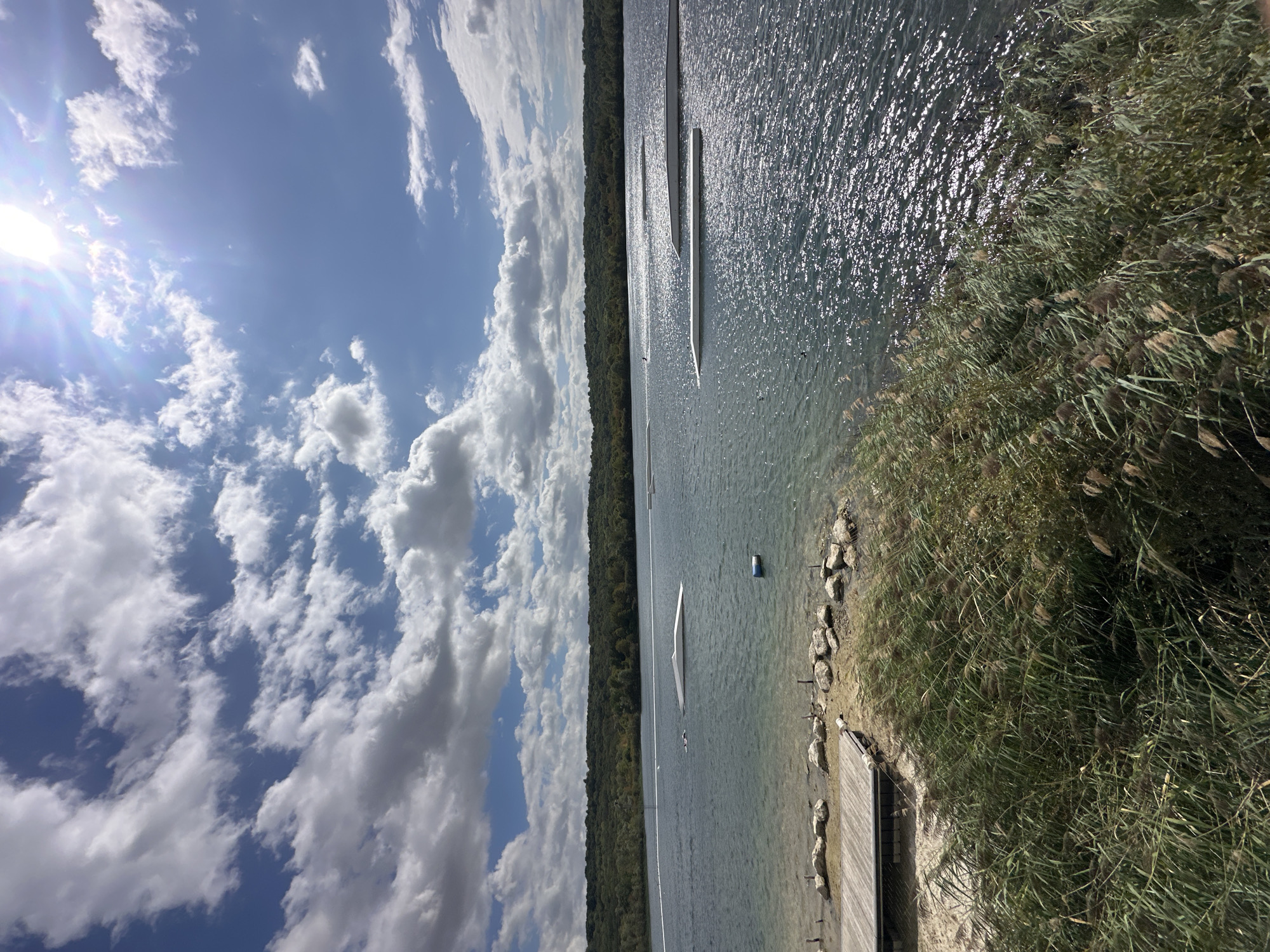 The image depicts a wake park in Jablines, France, on a sunny day with scattered clouds. The foreground is dominated by tall, green reeds and grasses, obscuring a portion of the sandy shore and a wooden dock. Beyond the reeds, the clear water of a lake stretches into the distance, reflecting the sunlight. Several white wakeboard ramps are visible on the water, some with riders on them. In the background, a dense line of trees marks the edge of the lake, under a bright blue sky. The sun is high in the sky, creating a lens flare effect.