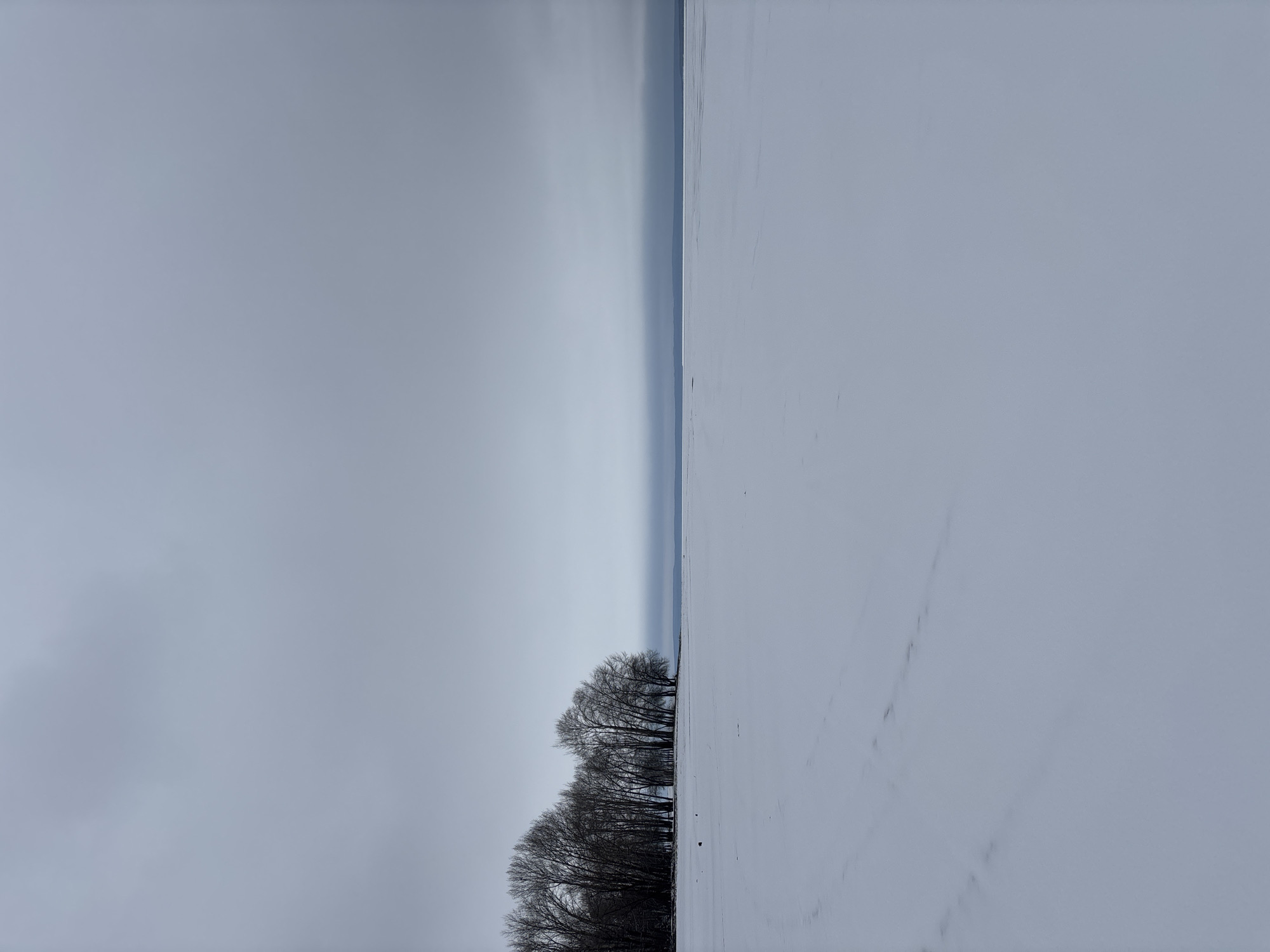 The image shows a landscape scene of the lake of Noviy, Russia. On the left side of the image, there is a gray sky and land. A narrow strip of water extends to the horizon. On the right side of the image, there is a snowy field. A row of trees lines the edge between the land and the snowy field. The image is taken from a slightly elevated perspective.