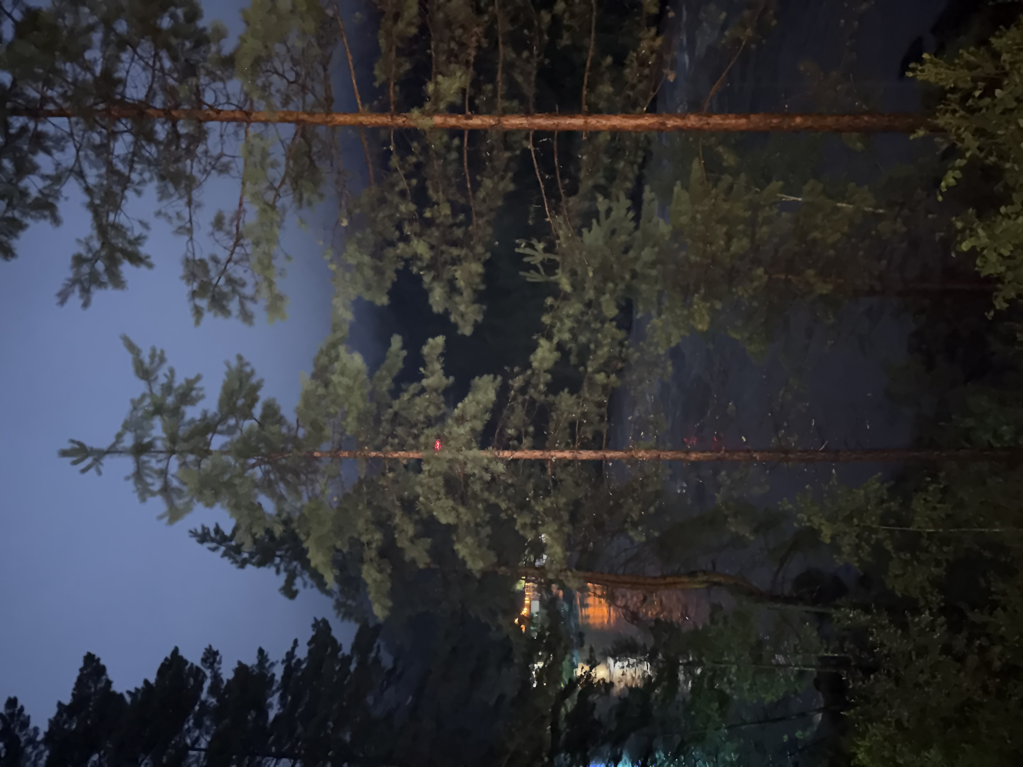 The image depicts a nighttime scene in Barangol, Russia, characterized by a dark, twilight sky and the dimly lit landscape surrounding a river. Silhouetted pine trees dominate the foreground, their branches reaching towards the sky. The river flows in the middle ground, reflecting the warm glow of artificial lights emanating from structures on the opposite bank. These structures appear to be illuminated buildings, possibly part of a settlement or resort. The water's surface shows subtle ripples, indicating movement. The overall atmosphere is serene and nocturnal, with hints of human presence in the distant lights.