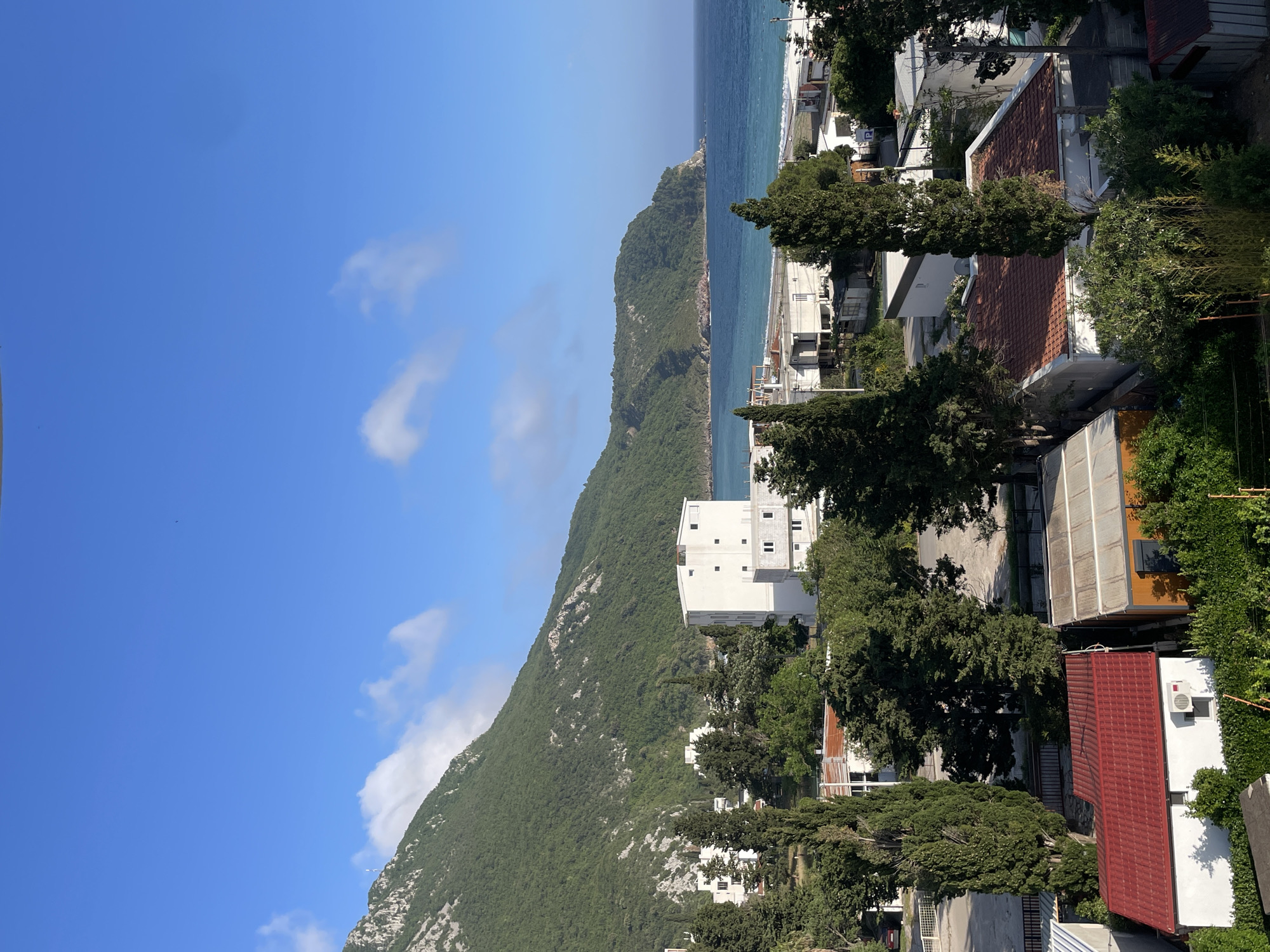 The scene shows a view from an elevated position in Čanj, Montenegro. A forested mountain slopes down toward the Adriatic Sea, which is visible in the background. Several white buildings are scattered along the hillside, interspersed with trees. In the foreground are rooftops of buildings with red tiles, indicating a residential area. The sky is blue with scattered white clouds.