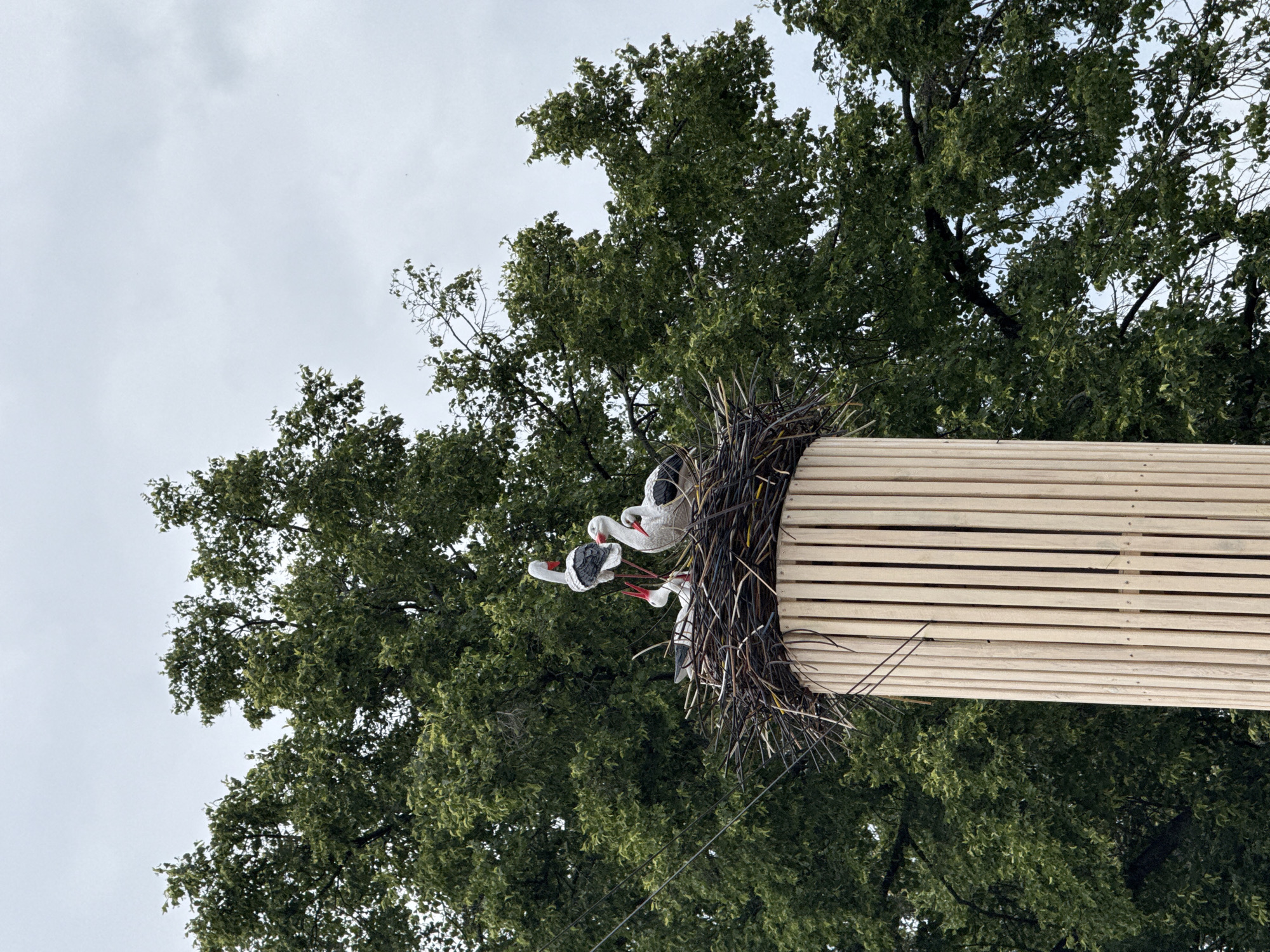 The image shows a bird's nest on top of a wooden pole, with several storks in the nest. The nest is made of twigs and straw, and it is located in front of a large green tree. The sky is overcast. The wooden pole is cylindrical and covered in vertical wooden slats. The storks are white and black with red beaks and legs. They appear to be models. The image was taken in the city of Votkinsk, Russia.