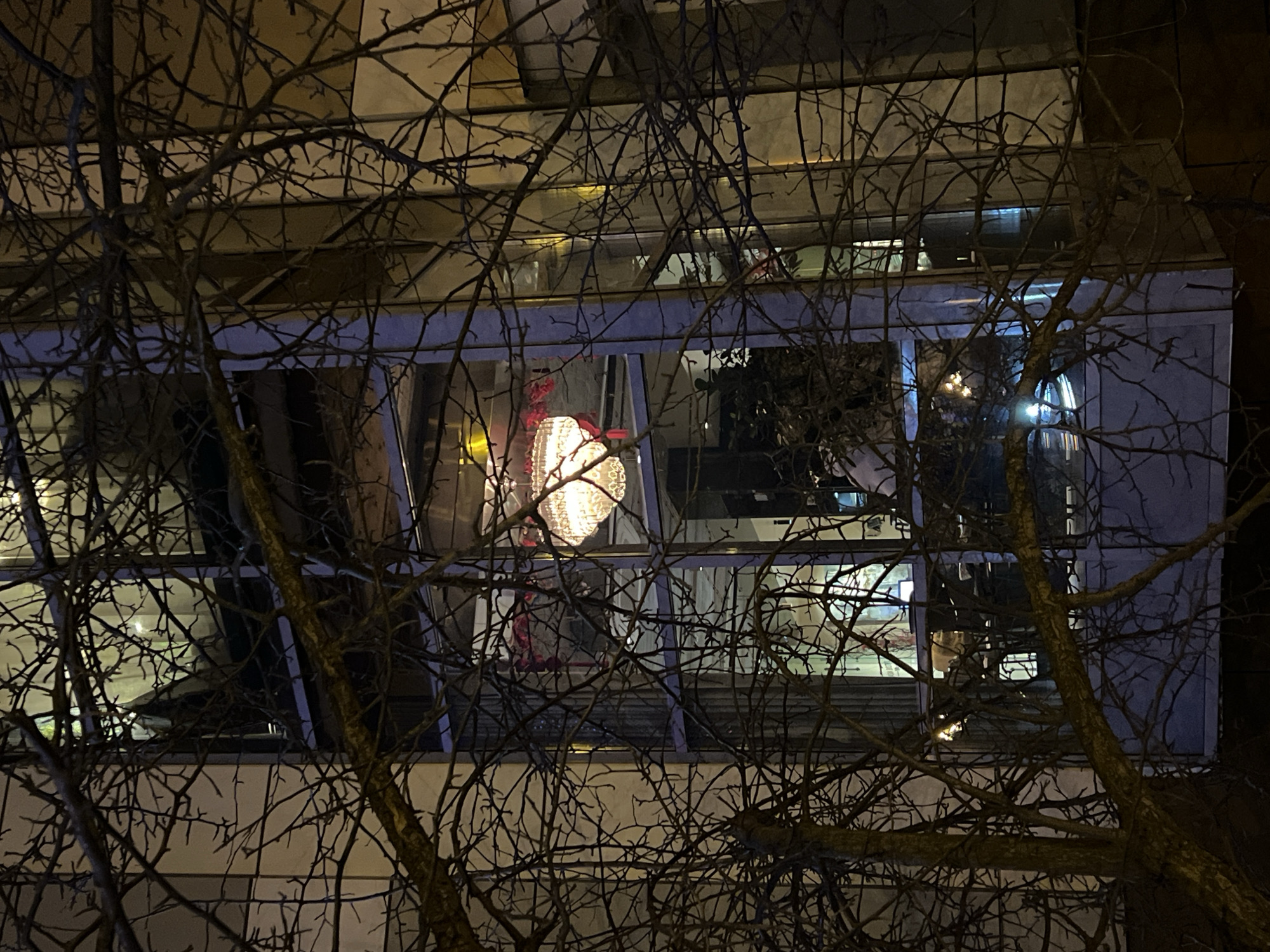 A night scene captures the façade of a multistory building in Tyumen, Russia, partially obscured by leafless tree branches in the foreground. The building features a grid of windows, some reflecting interior light. A spherical light fixture is visible behind the window.